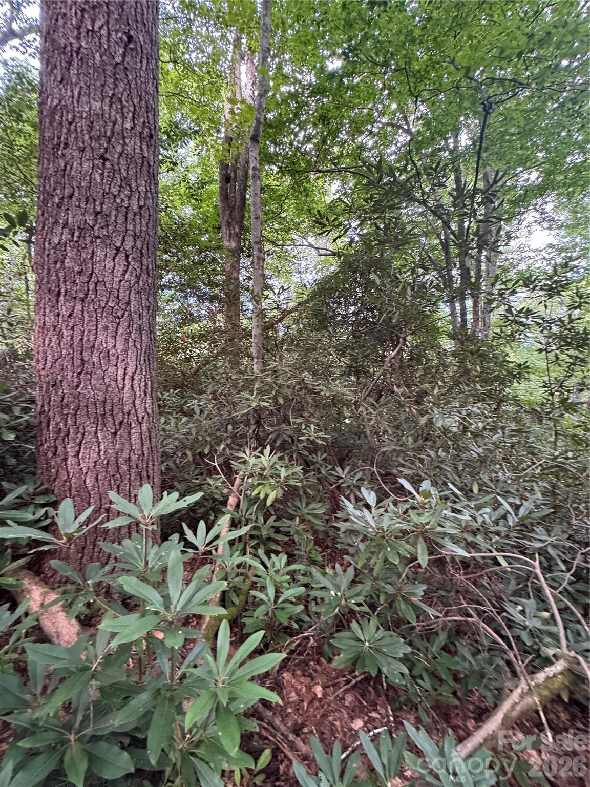 000 Wilson Road Property Photo 30