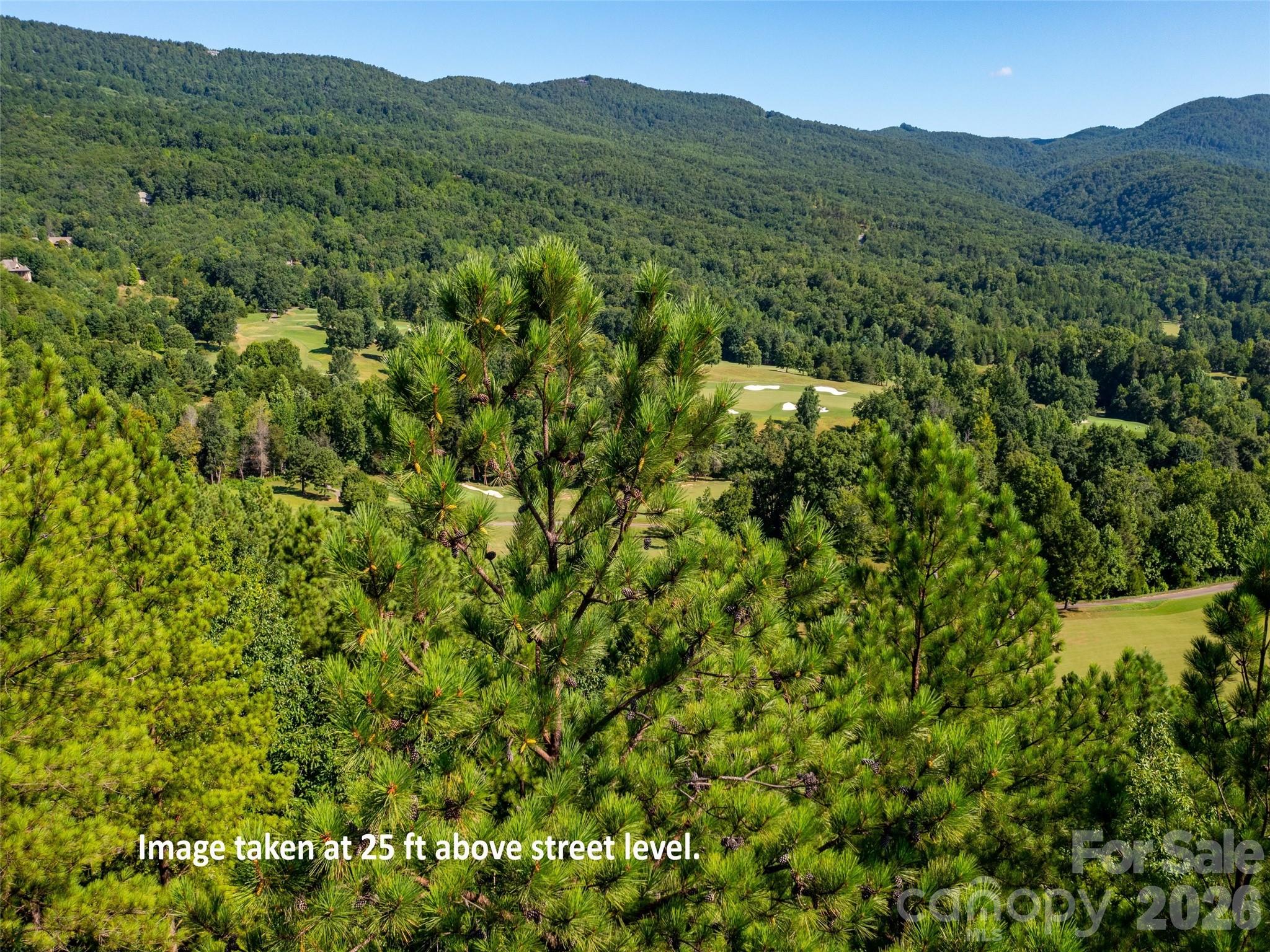 2026 Deep Gap Farm Road Property Photo 2
