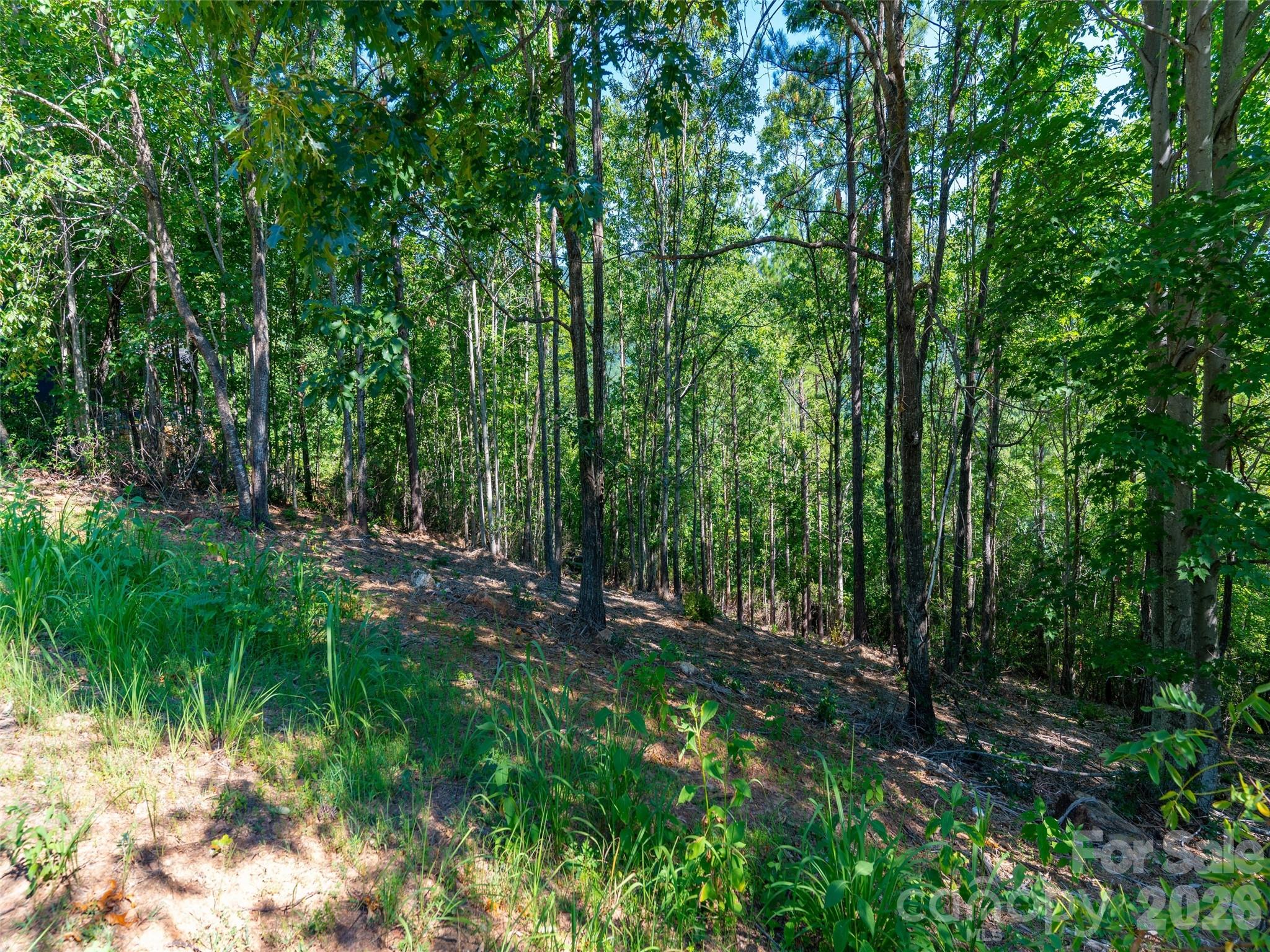2026 Deep Gap Farm Road Property Photo 4