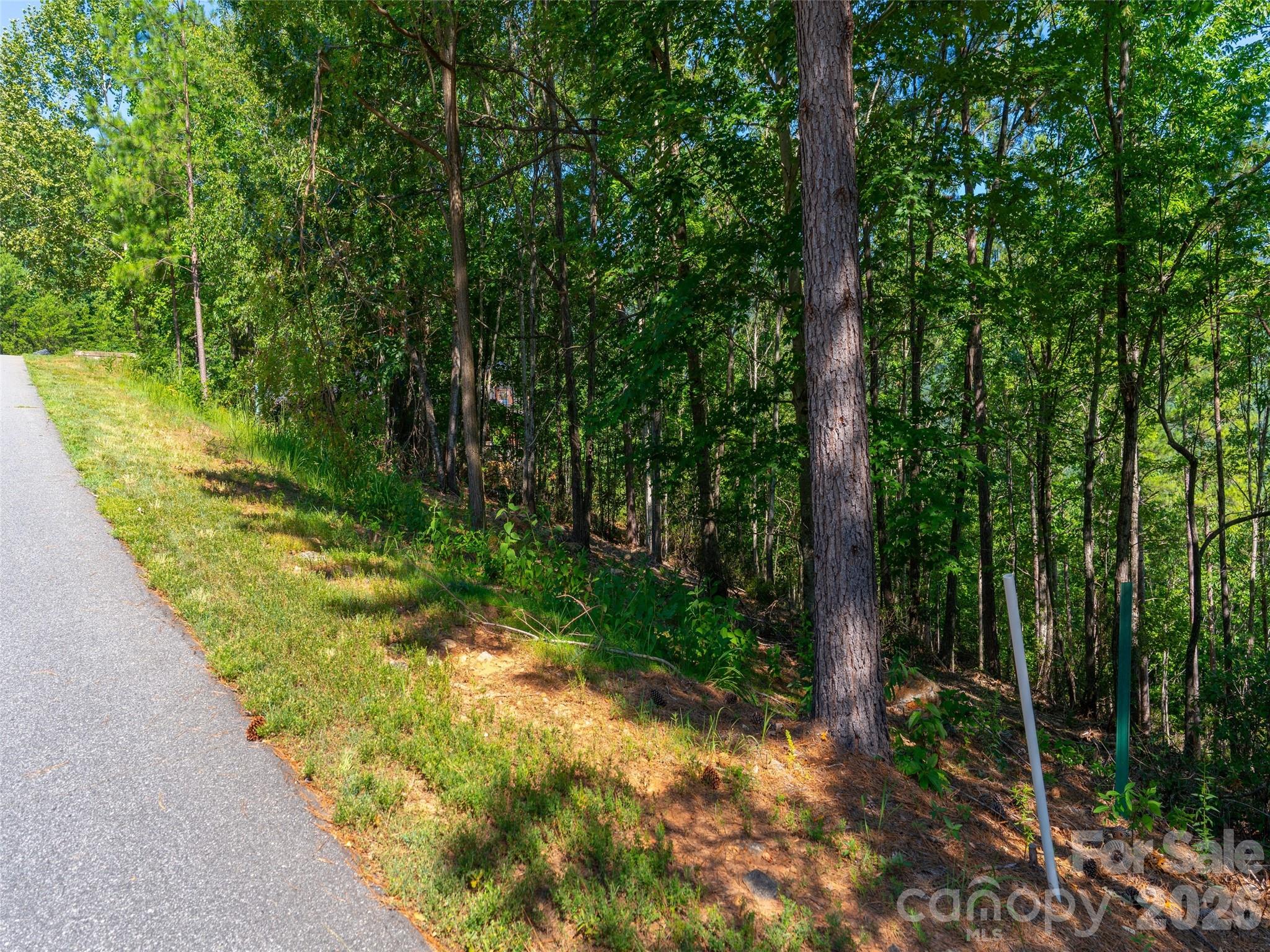 2026 Deep Gap Farm Road Property Photo 9