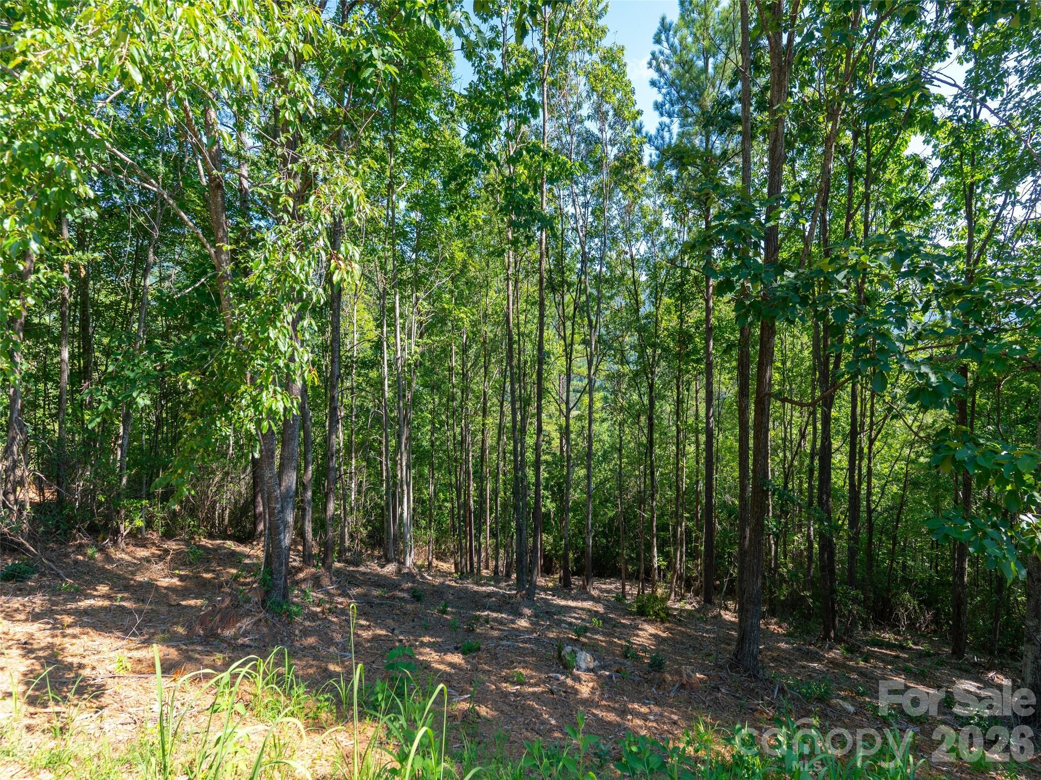 2026 Deep Gap Farm Road Property Photo 10