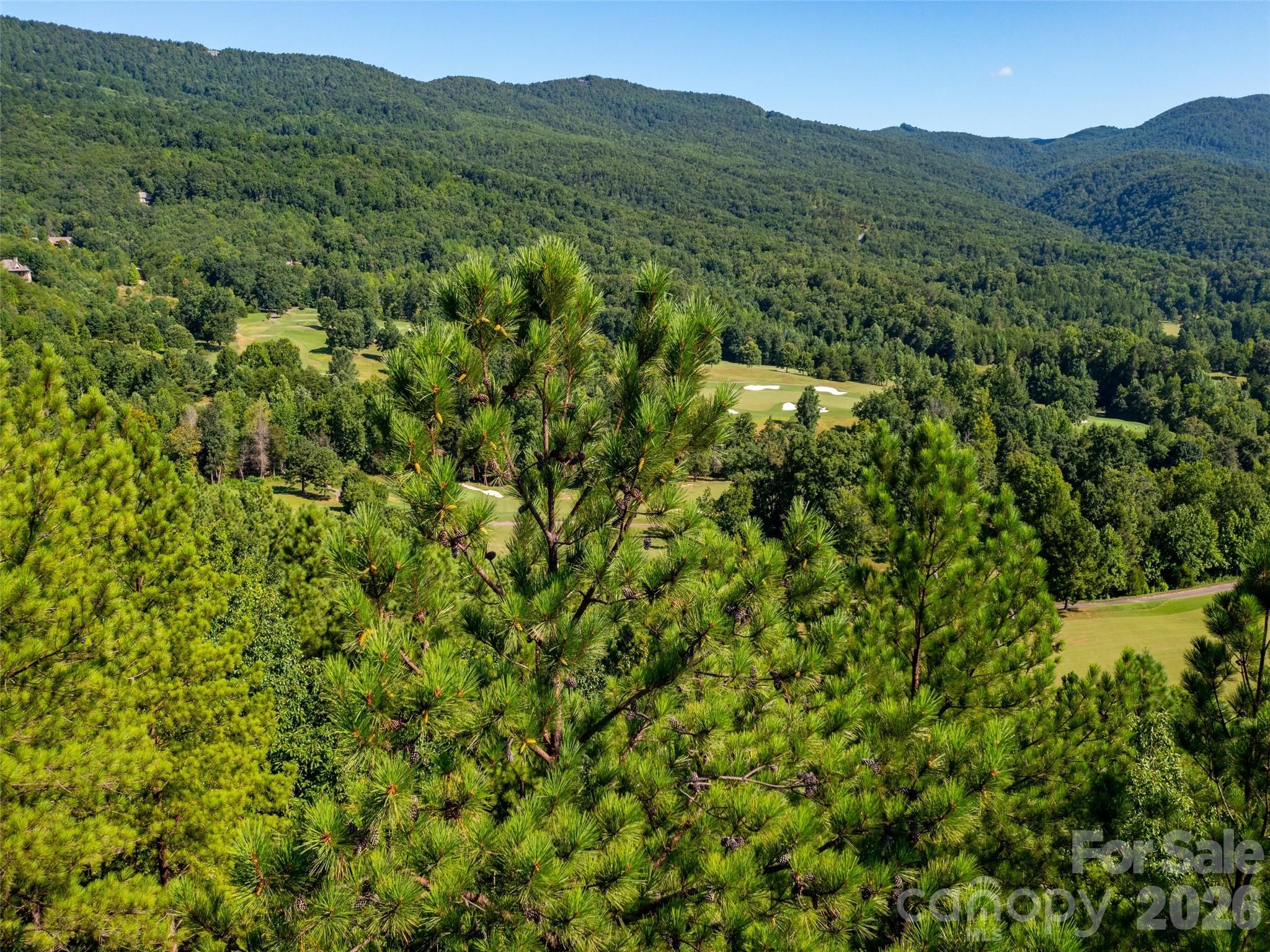 2026 Deep Gap Farm Road Property Photo 11