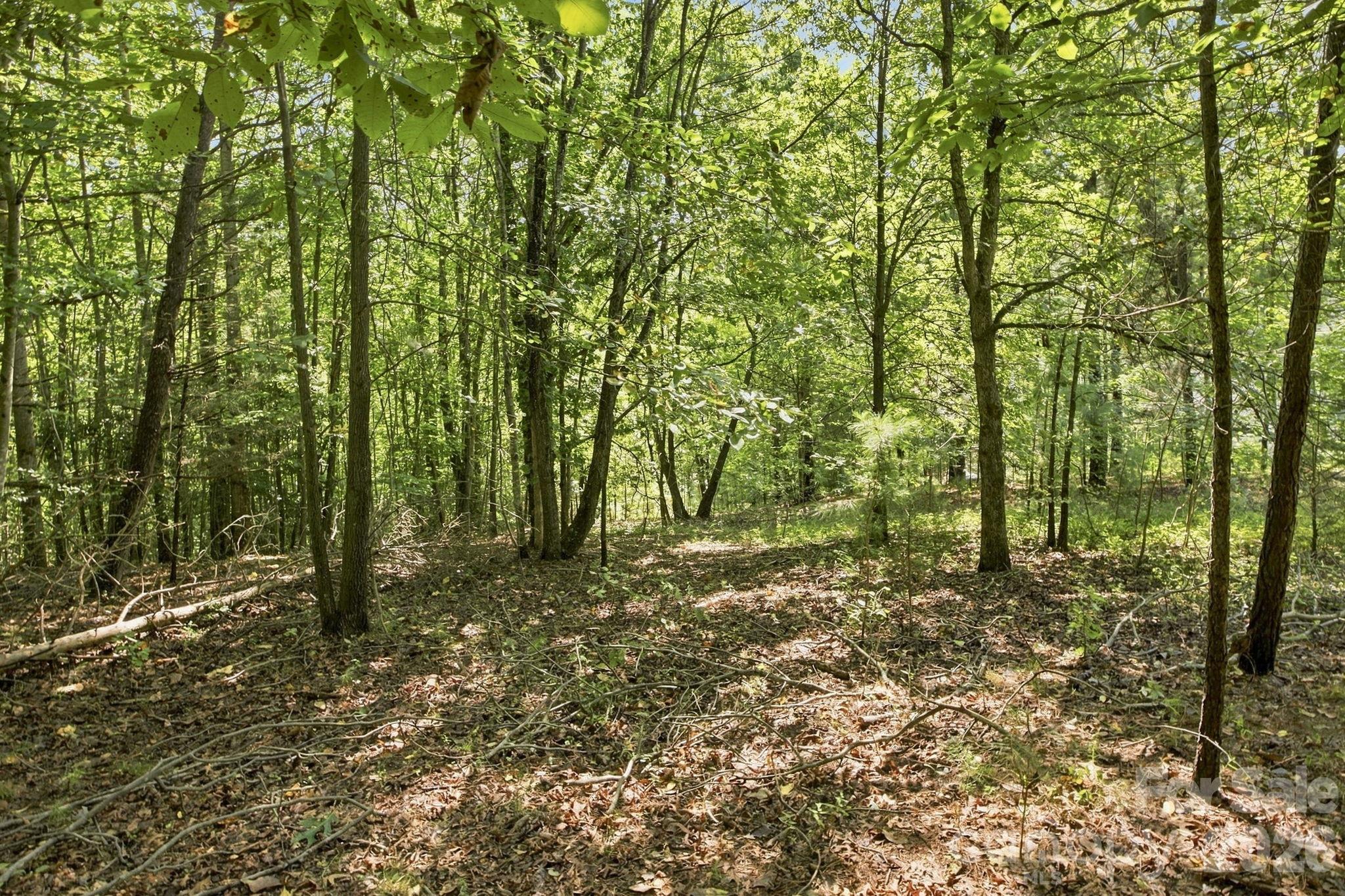 547 Stewart Rock Road Property Photo 6
