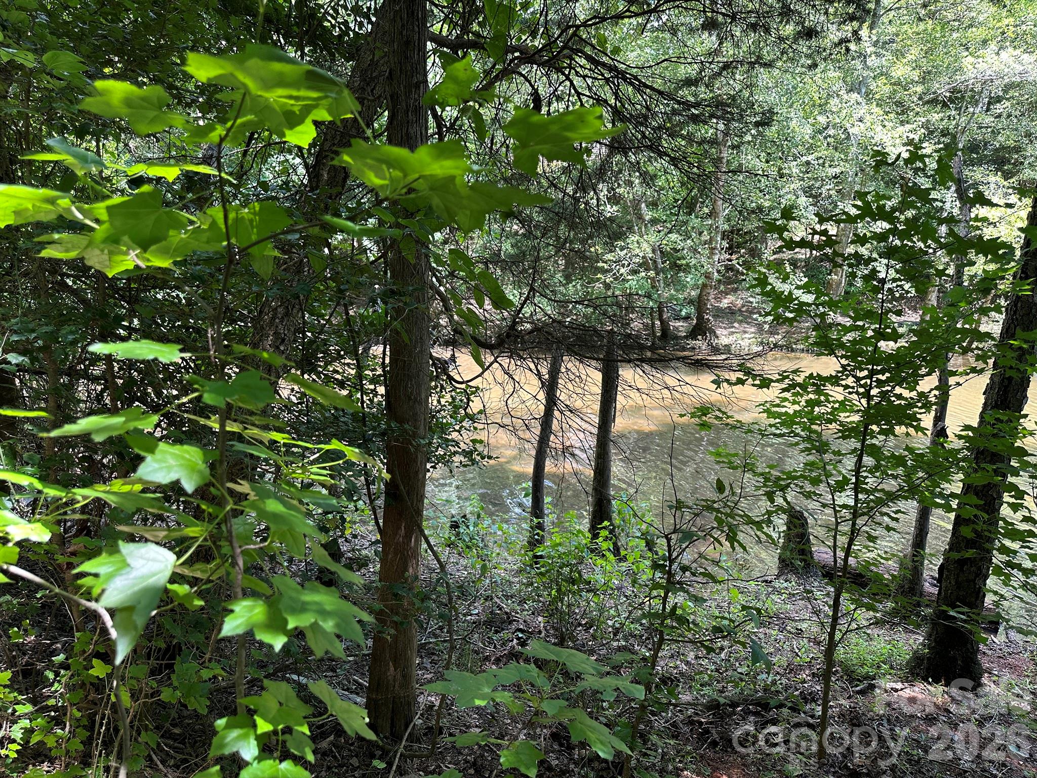 547 Stewart Rock Road Property Photo 7