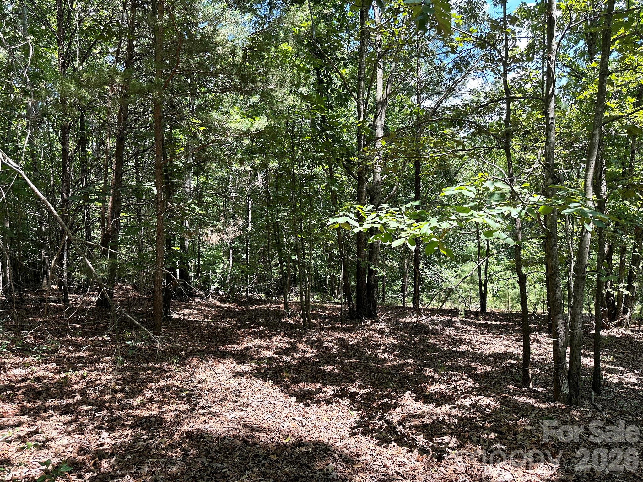 547 Stewart Rock Road Property Photo 8