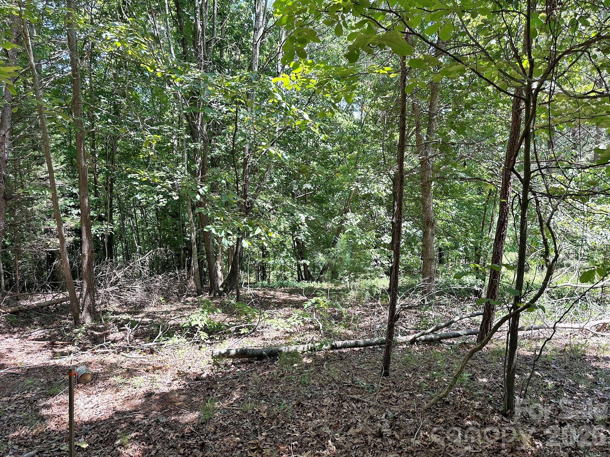 547 Stewart Rock Road Property Photo 9