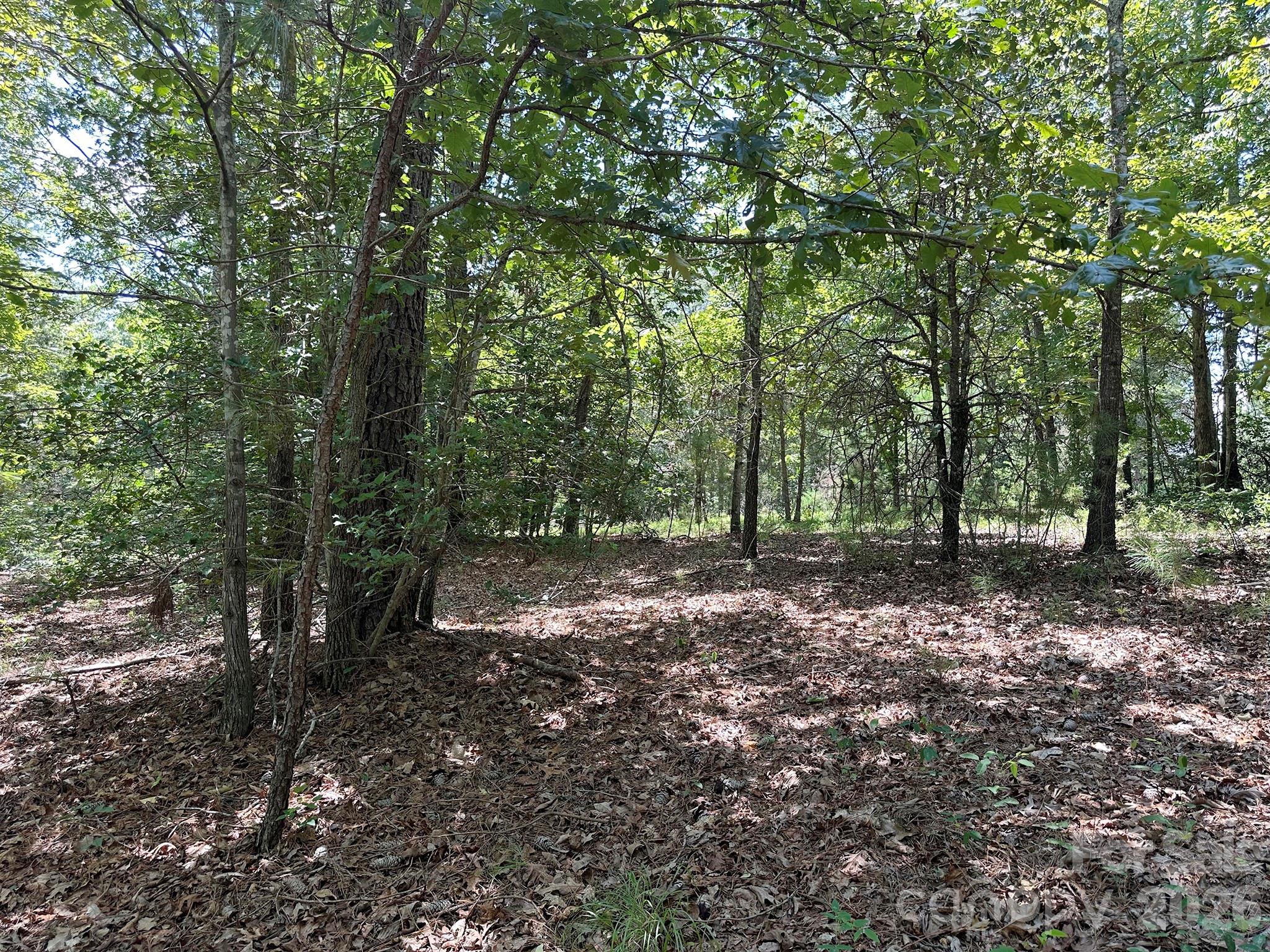 547 Stewart Rock Road Property Photo 15