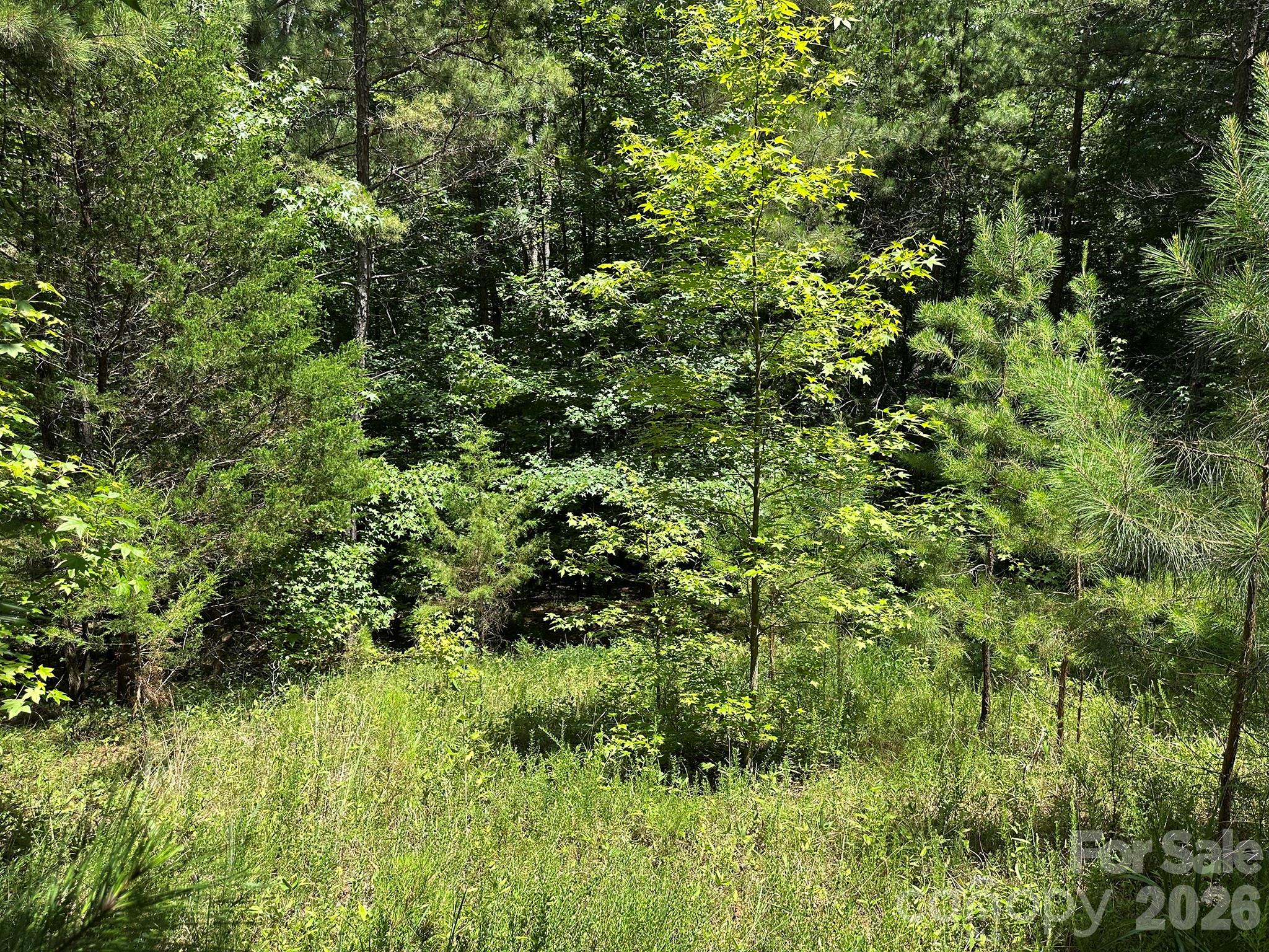 547 Stewart Rock Road Property Photo 16