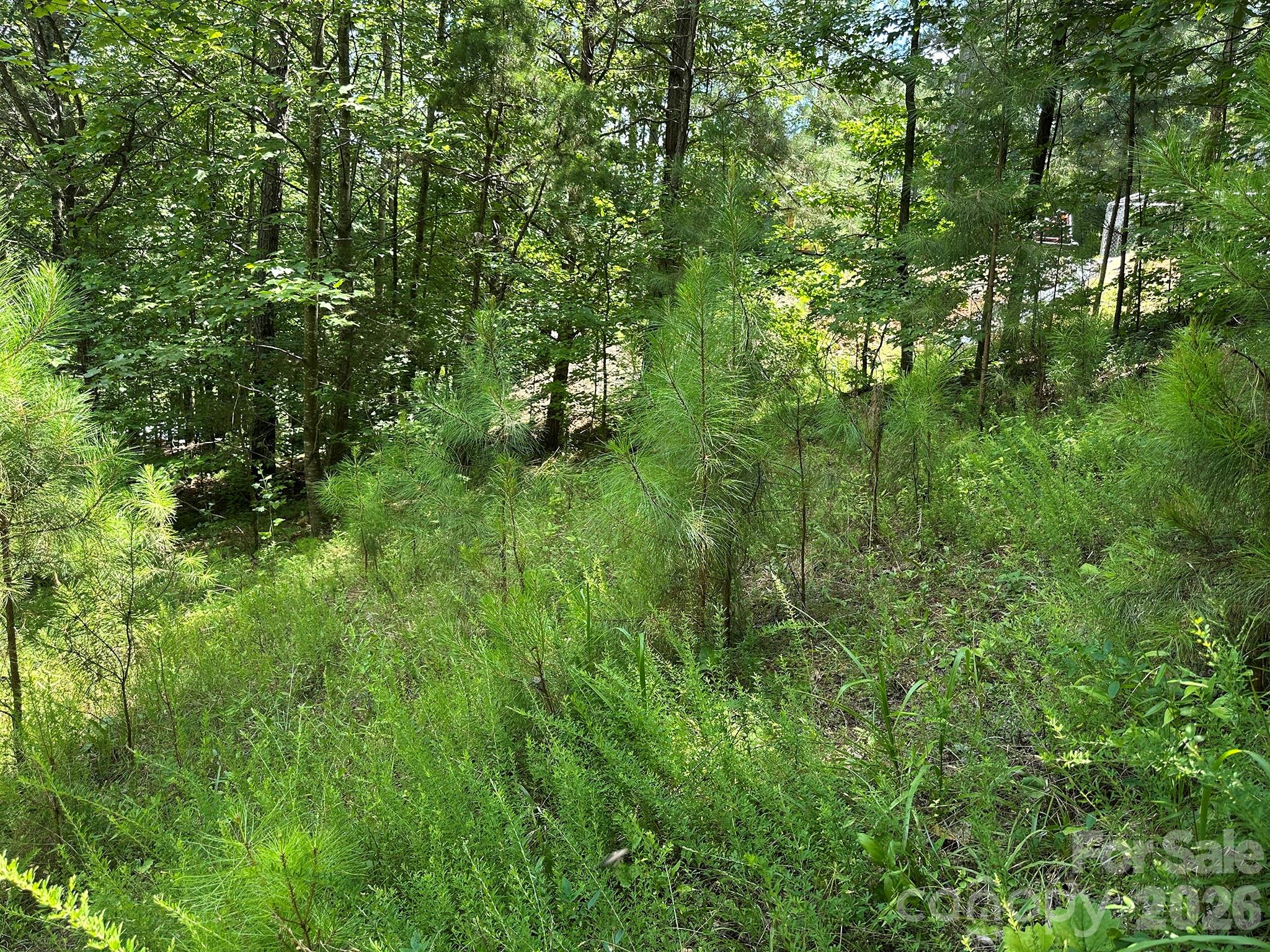 547 Stewart Rock Road Property Photo 17