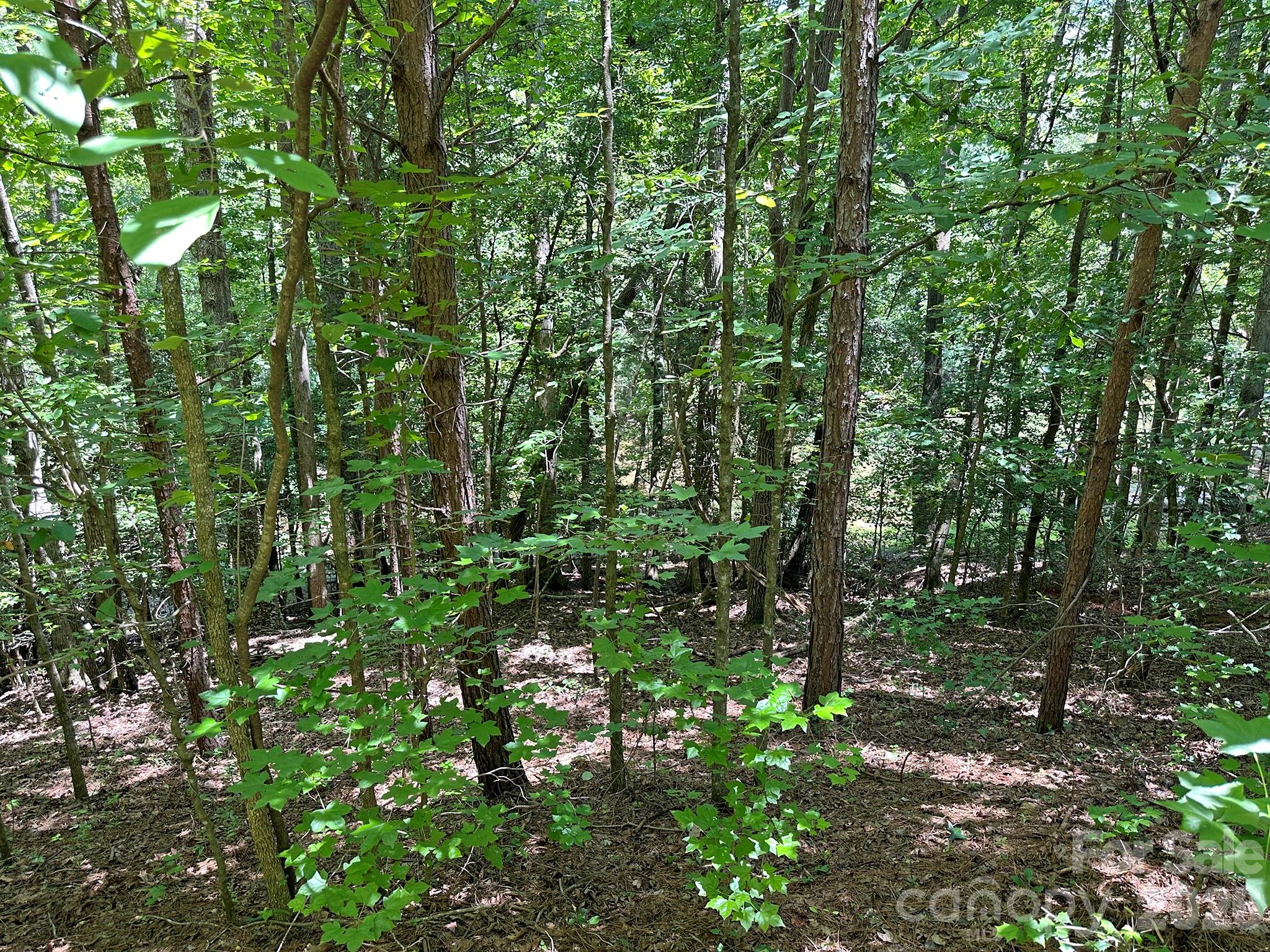 547 Stewart Rock Road Property Photo 18