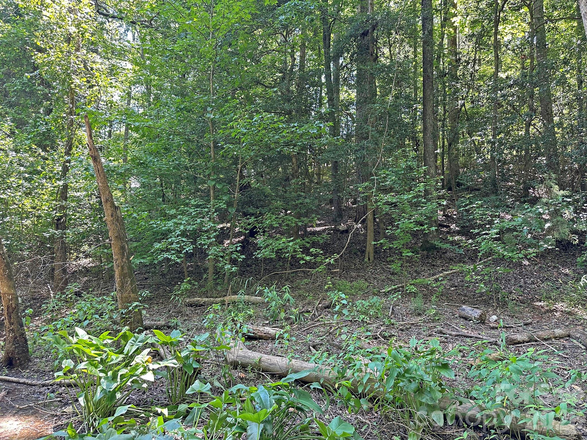 547 Stewart Rock Road Property Photo 20