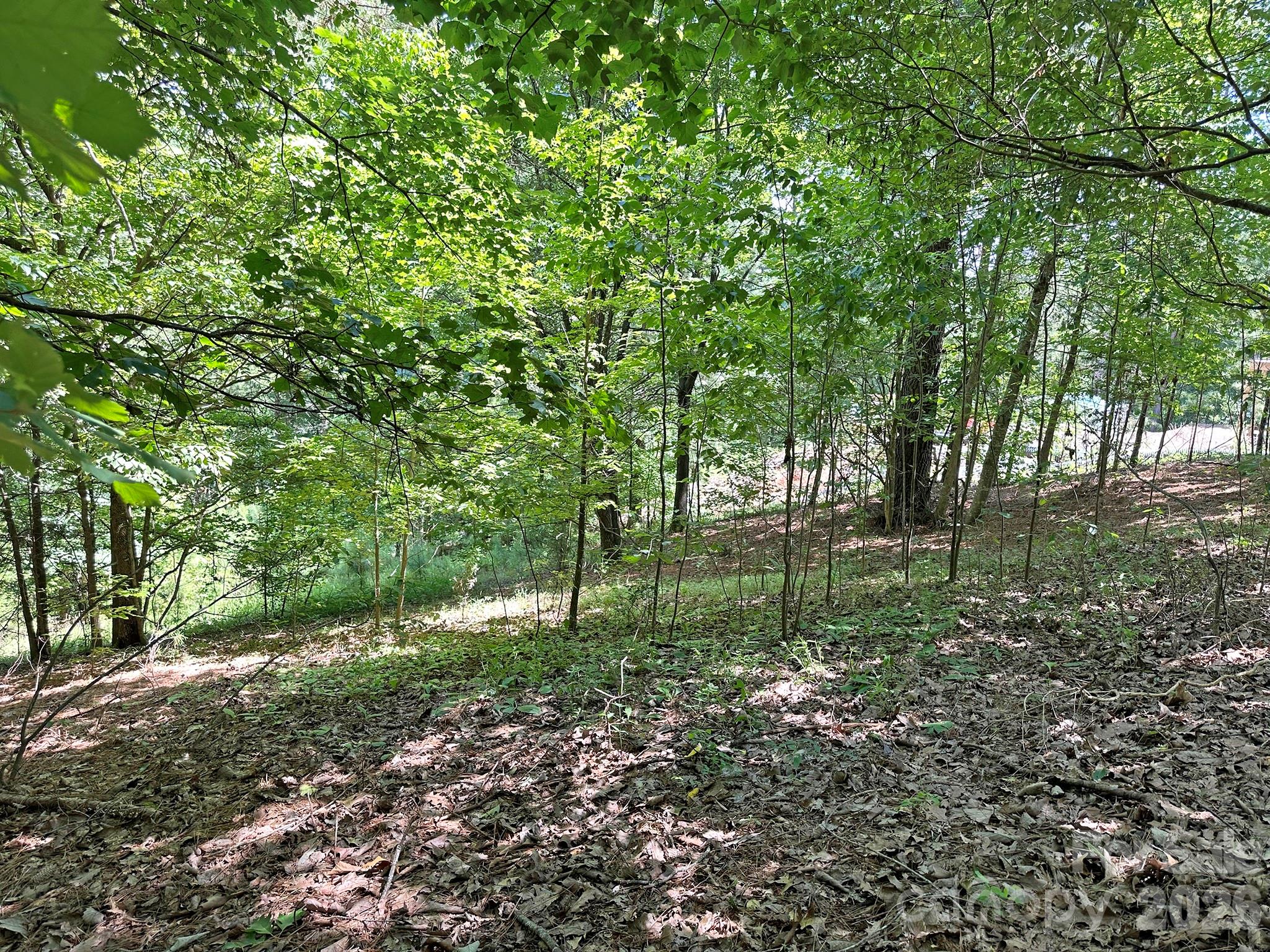 547 Stewart Rock Road Property Photo 22