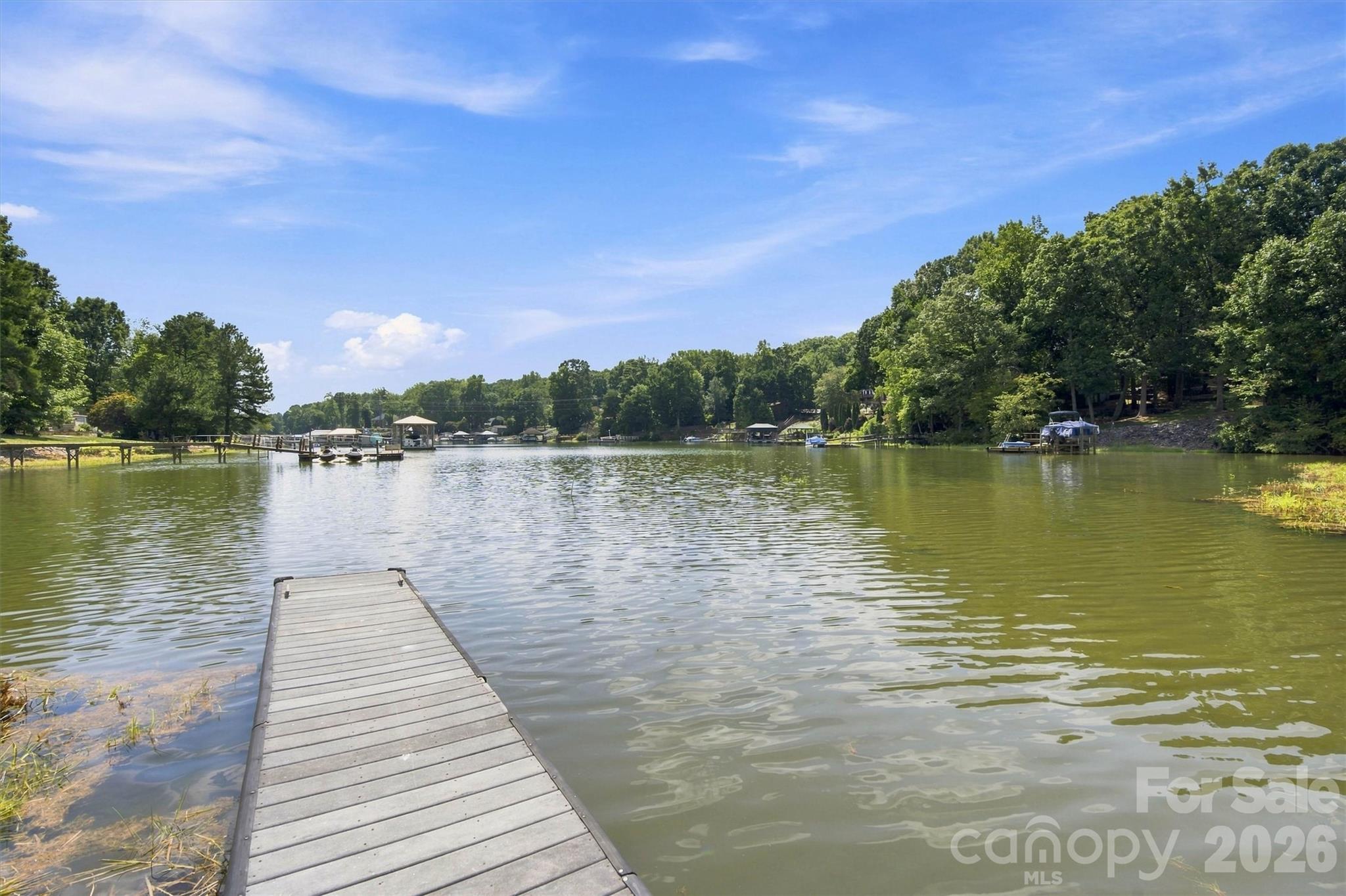 3686 Lake Bluff Drive Property Photo 43