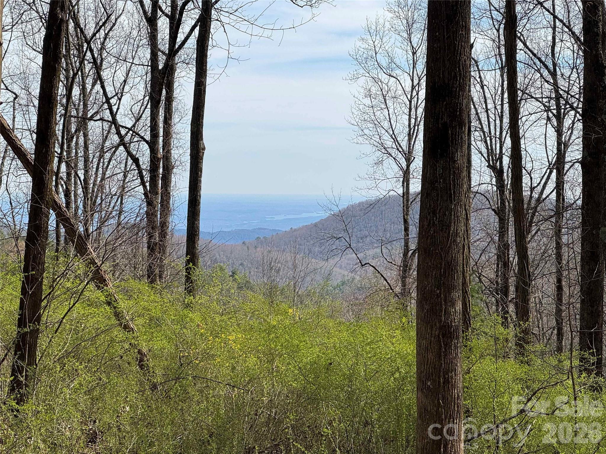 L8 Black Bear Court Property Photo 1