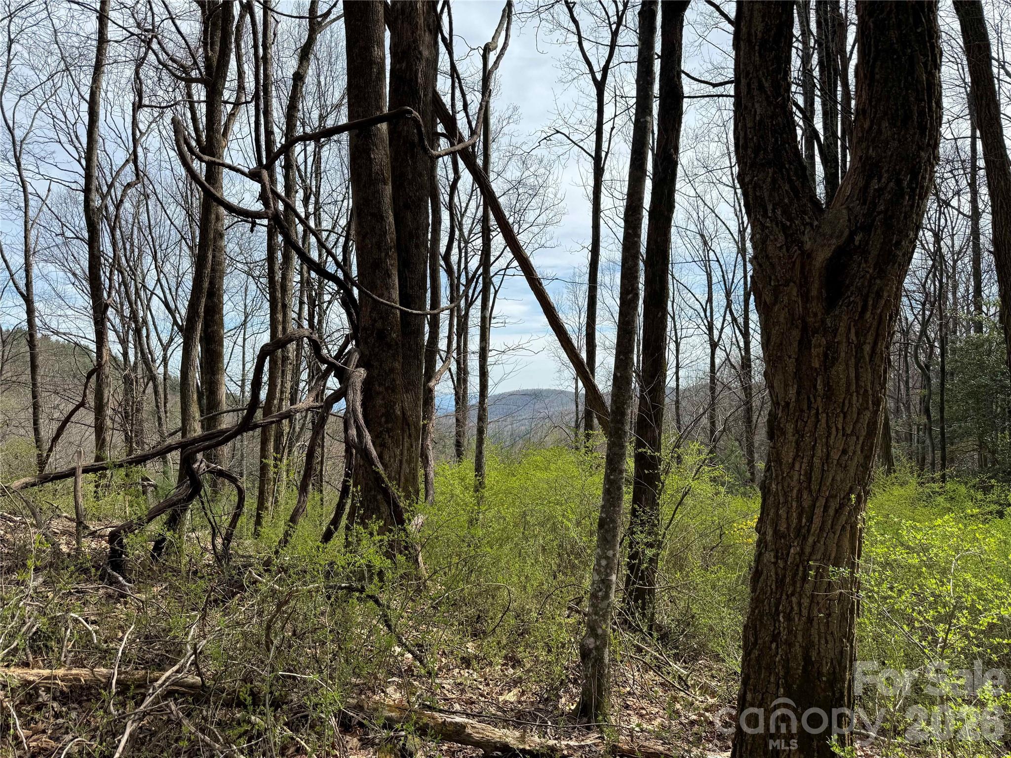 L8 Black Bear Court Property Photo 6
