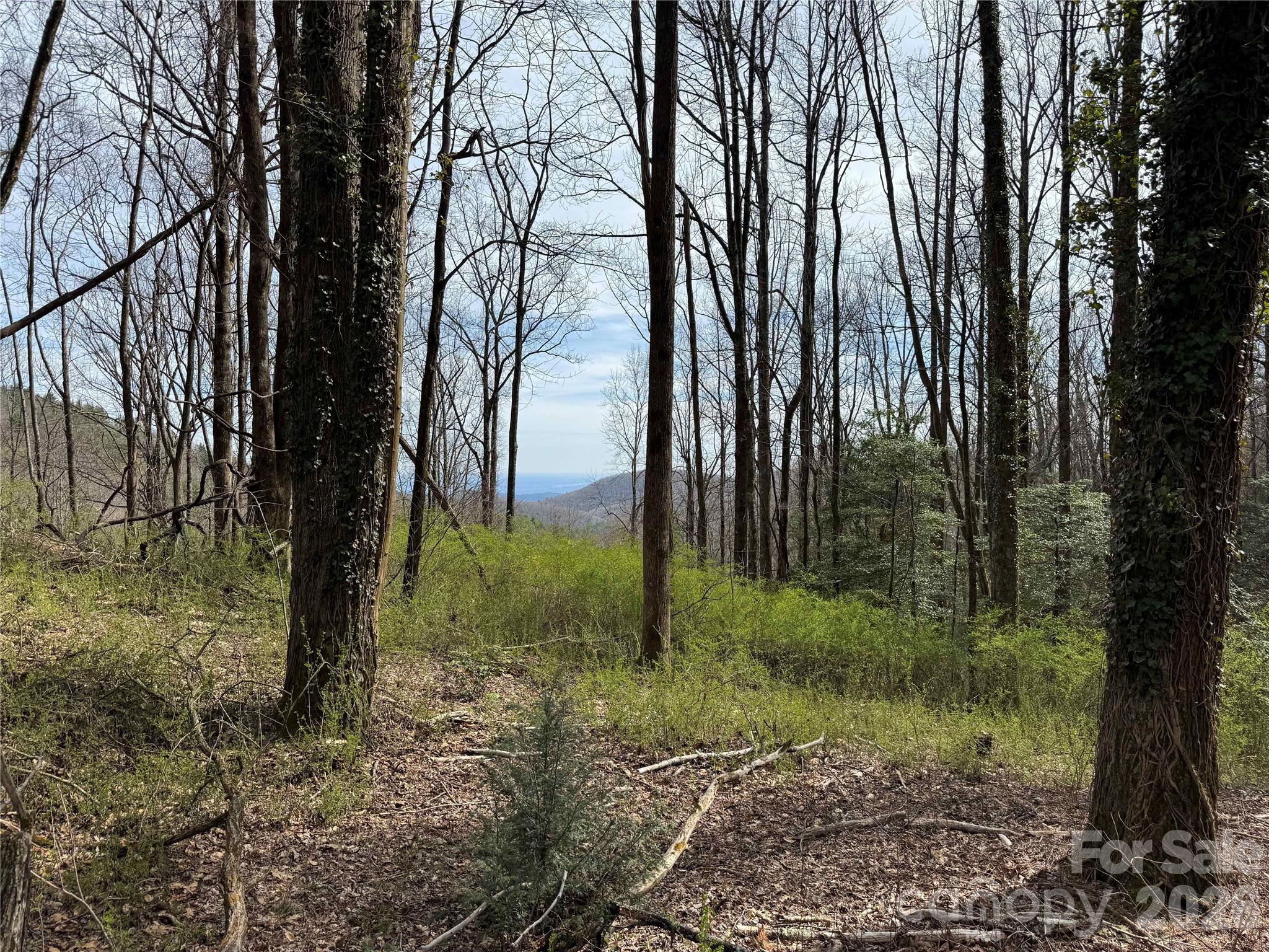 L8 Black Bear Court Property Photo 7