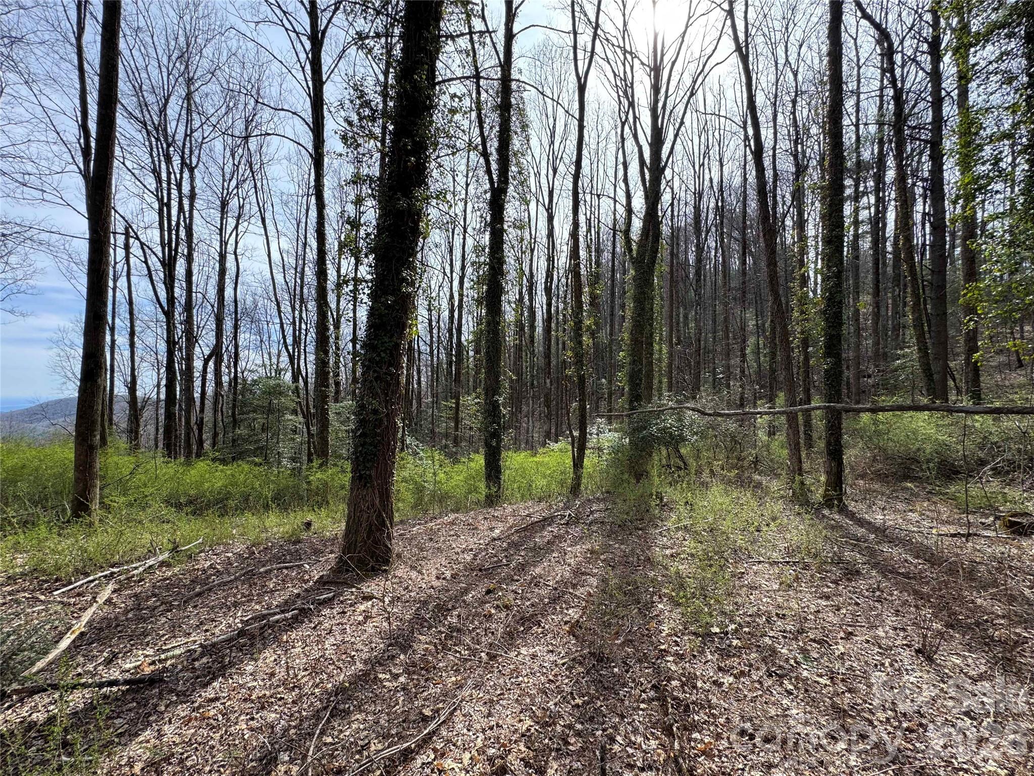 L8 Black Bear Court Property Photo 8