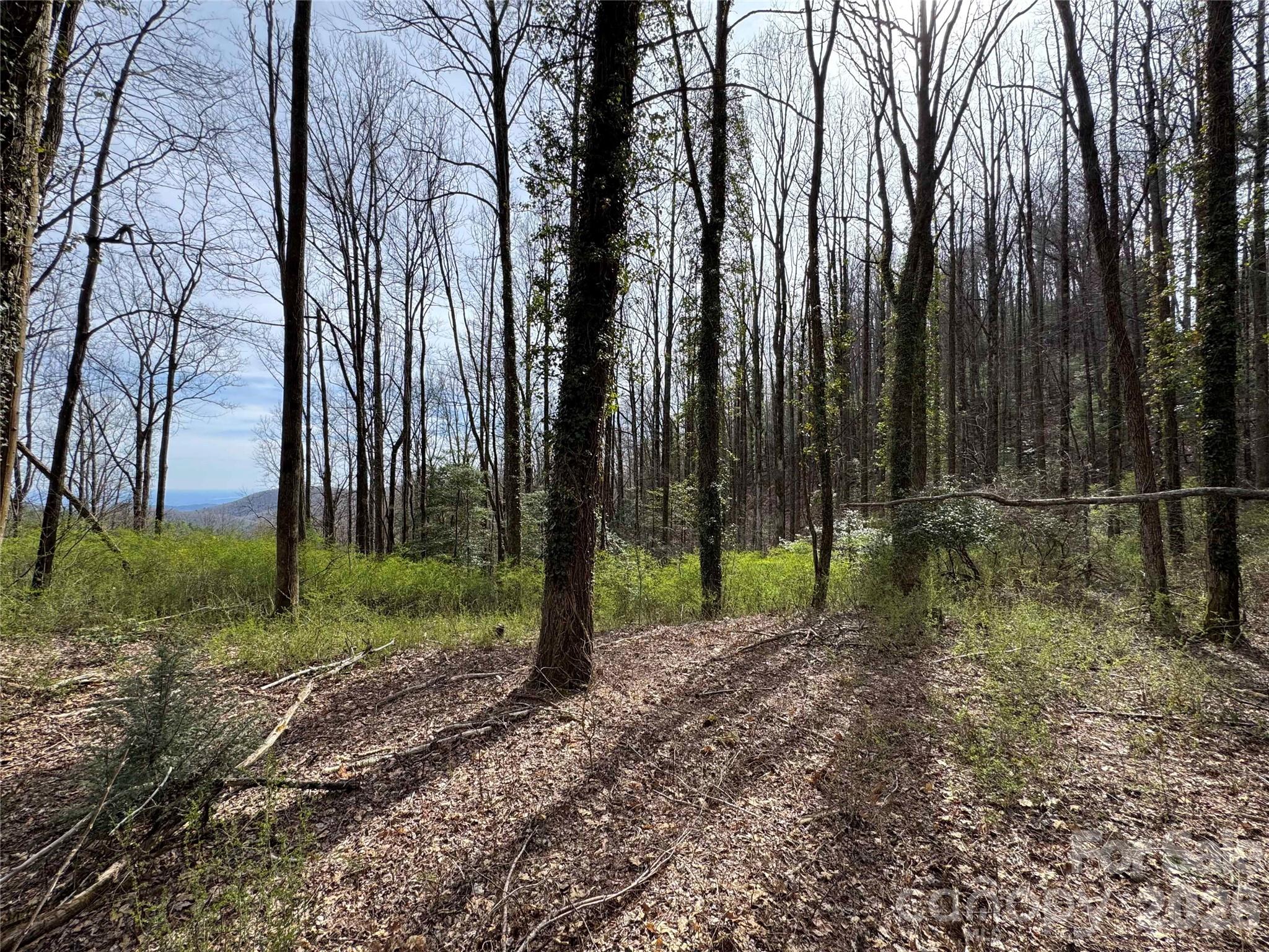 L8 Black Bear Court Property Photo 9