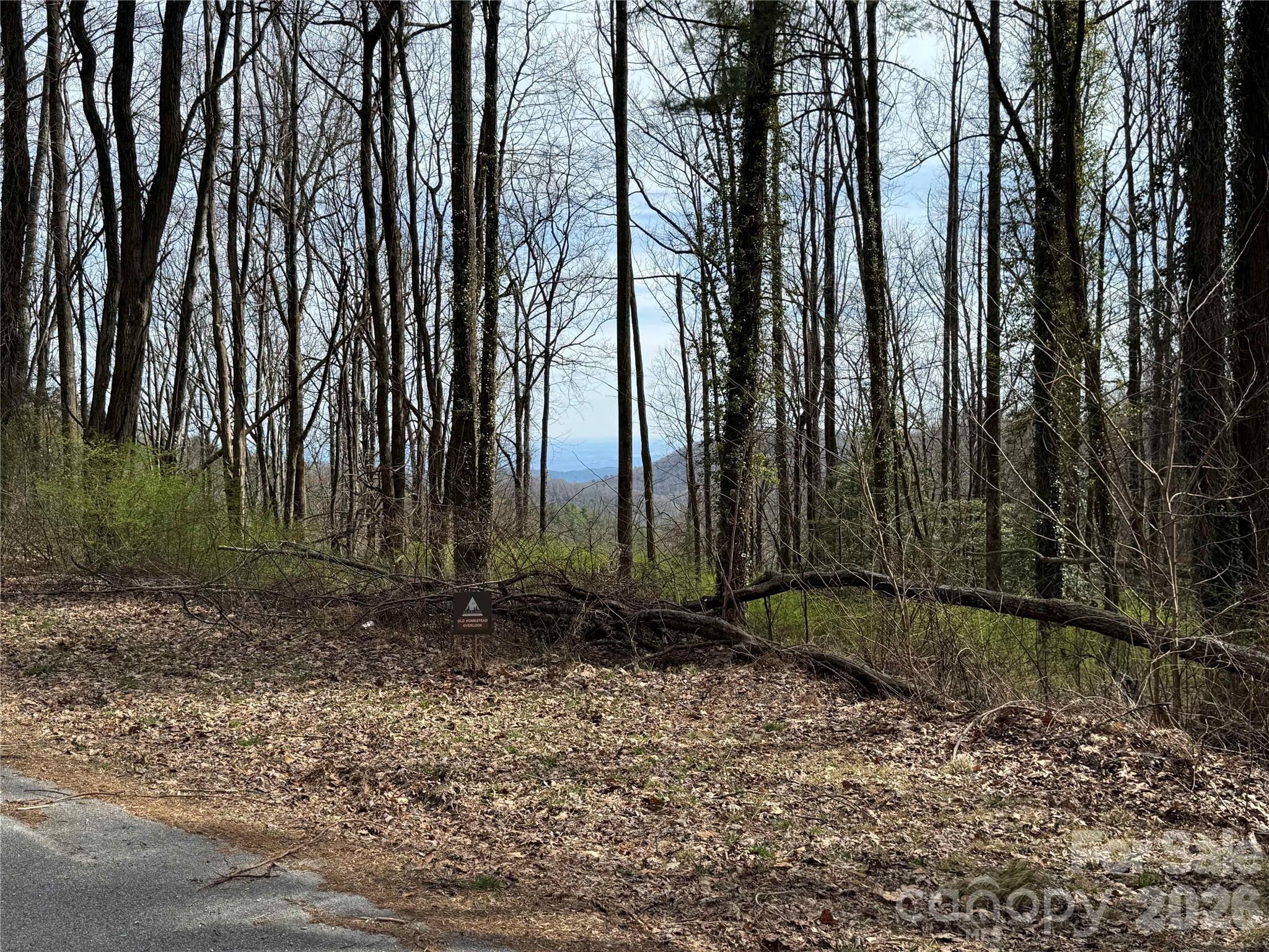 L8 Black Bear Court Property Photo 10