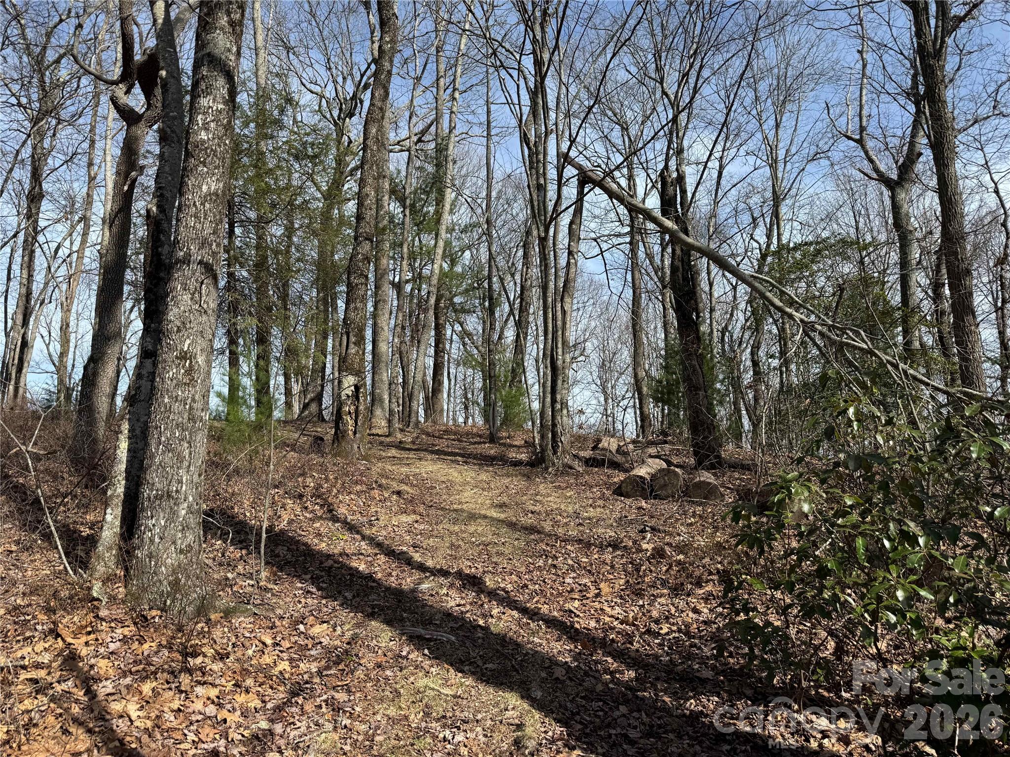 L4 Windy Gap Lane Property Photo 5
