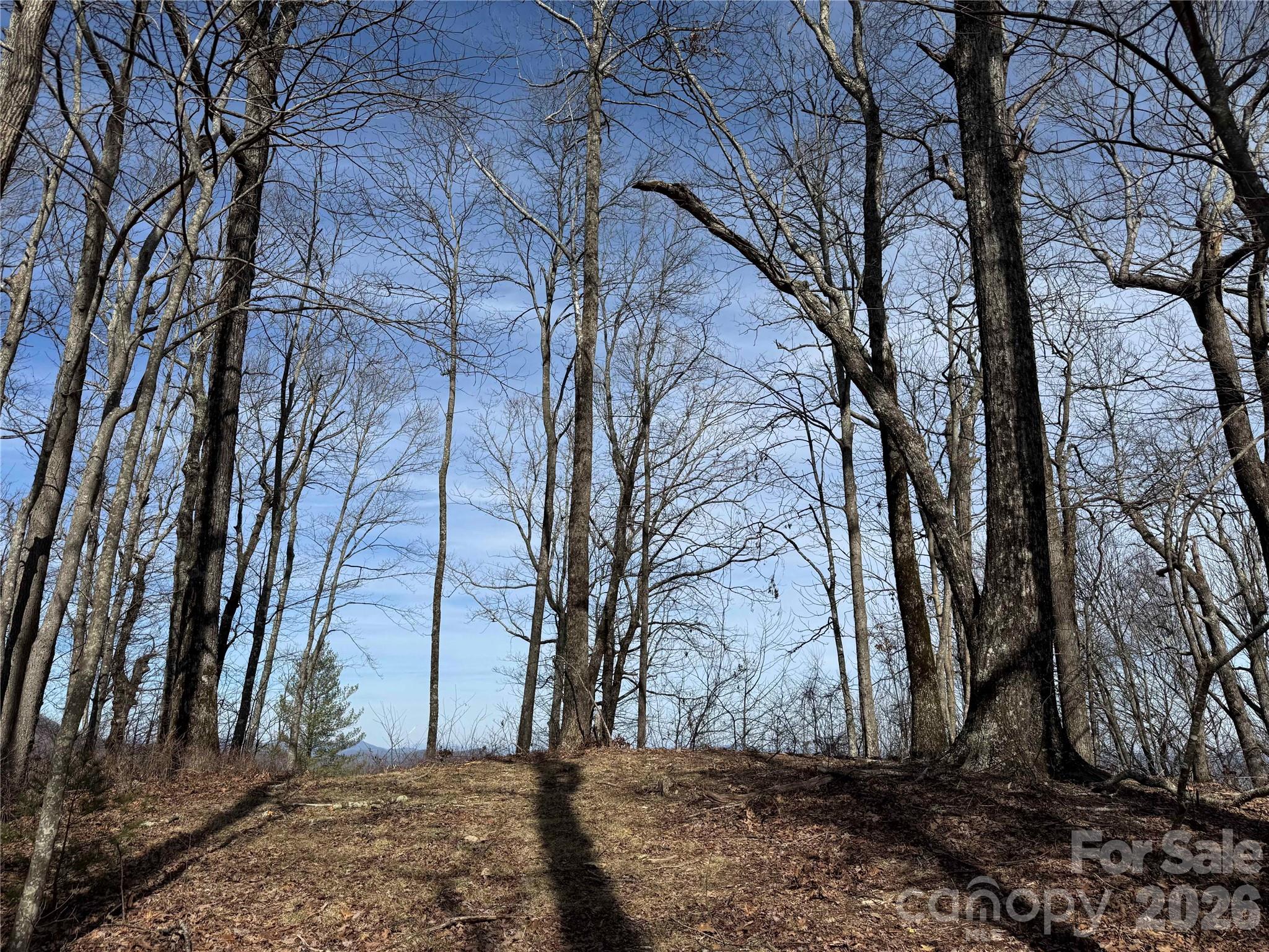 L4 Windy Gap Lane Property Photo 6