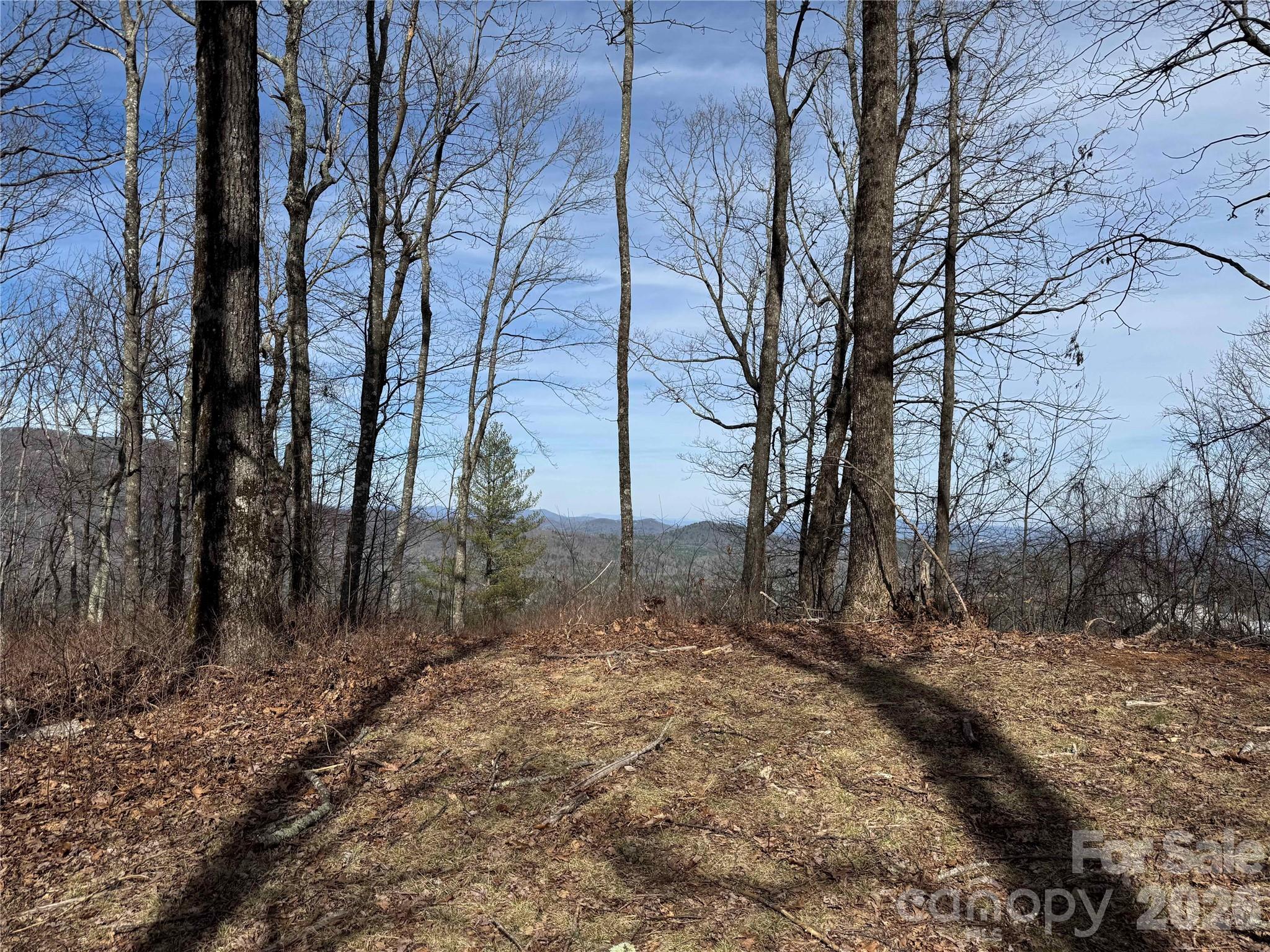 L4 Windy Gap Lane Property Photo 7