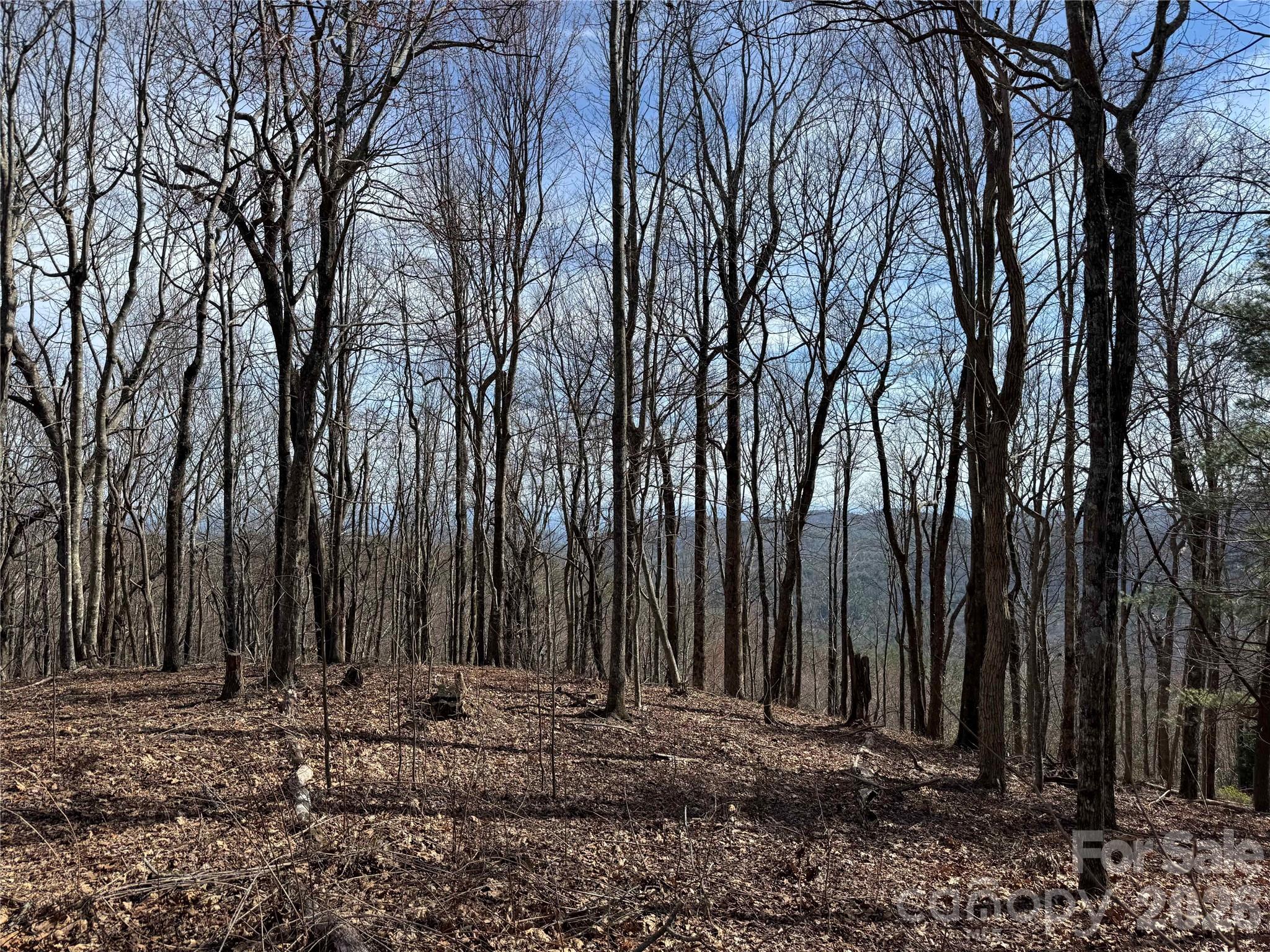 L4 Windy Gap Lane Property Photo 10