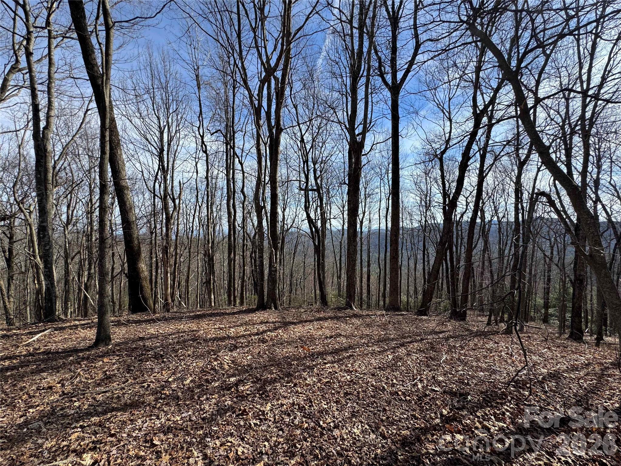 L4 Windy Gap Lane Property Photo 11