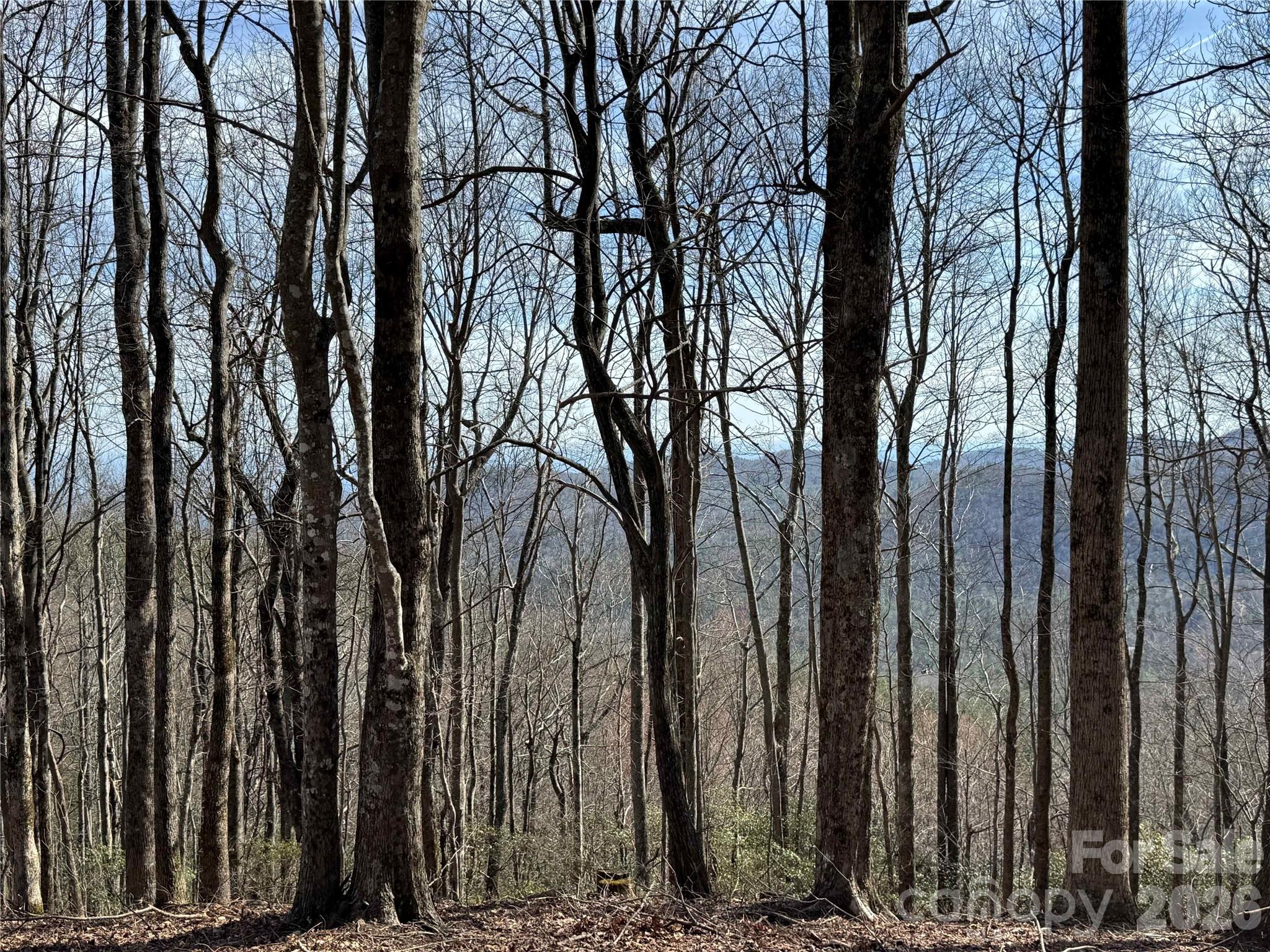 L4 Windy Gap Lane Property Photo 12