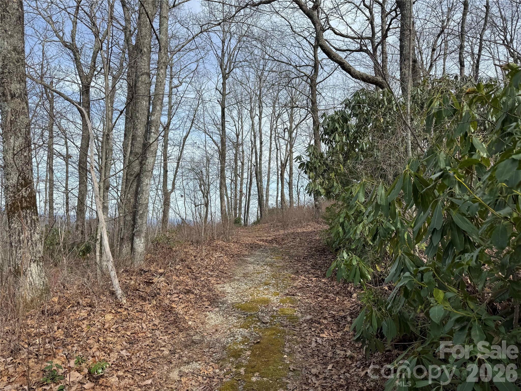 L3 Windy Gap Lane Property Photo 5