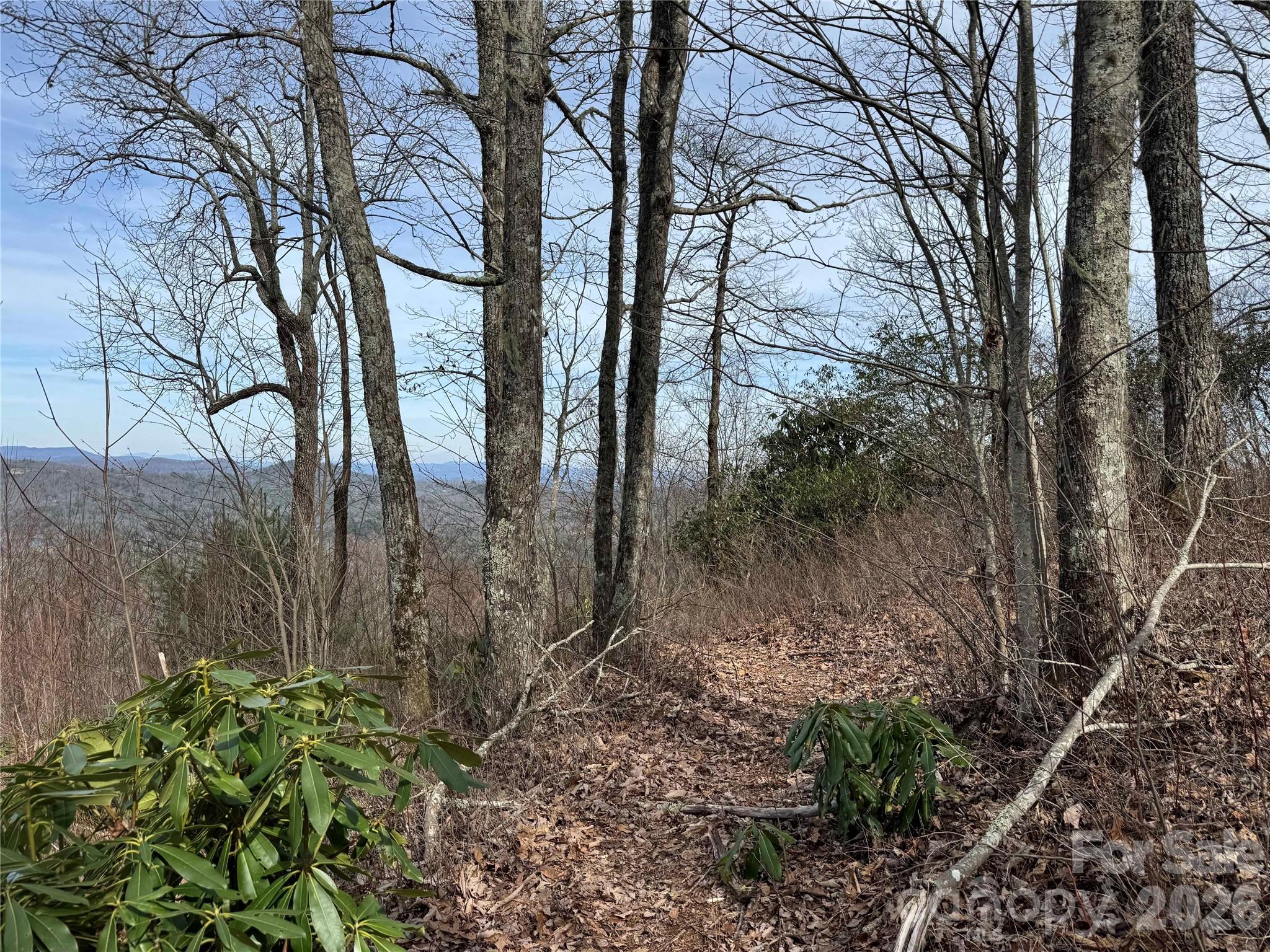 L3 Windy Gap Lane Property Photo 6