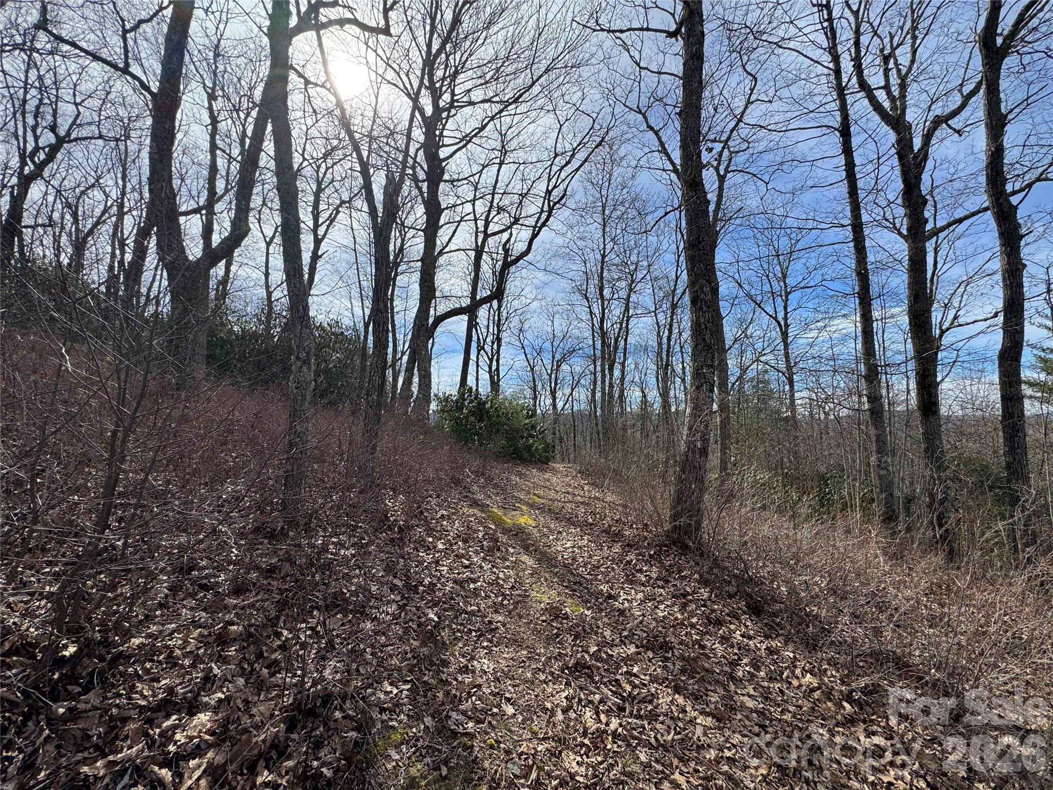 L3 Windy Gap Lane Property Photo 7