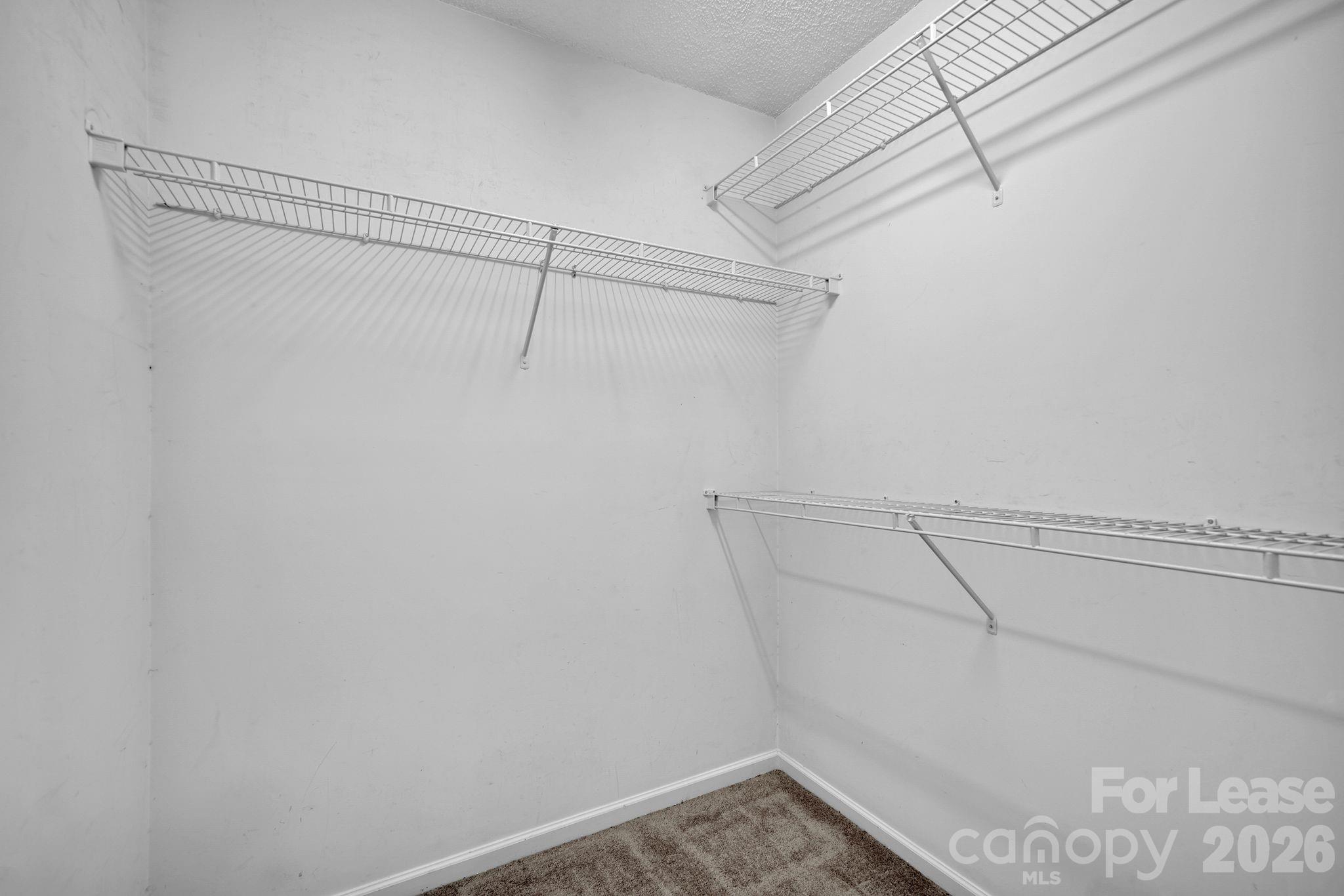 9653 Terrier Way Property Photo 26