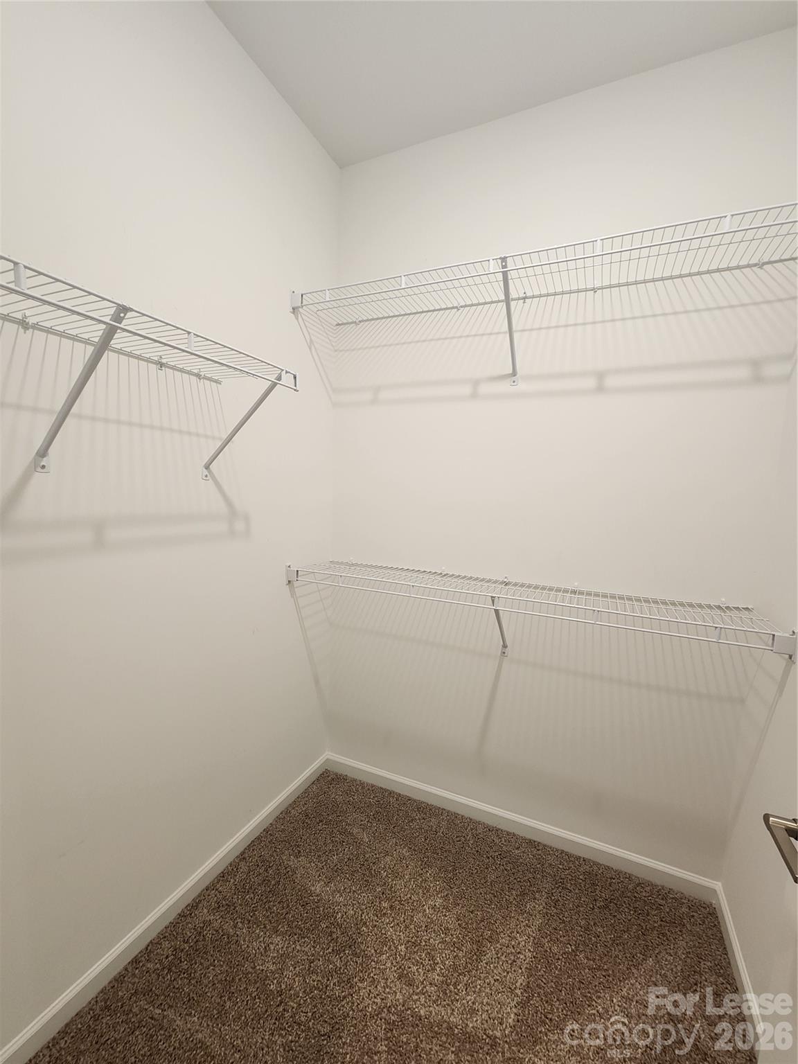 194 Winterberry Street Property Photo 31