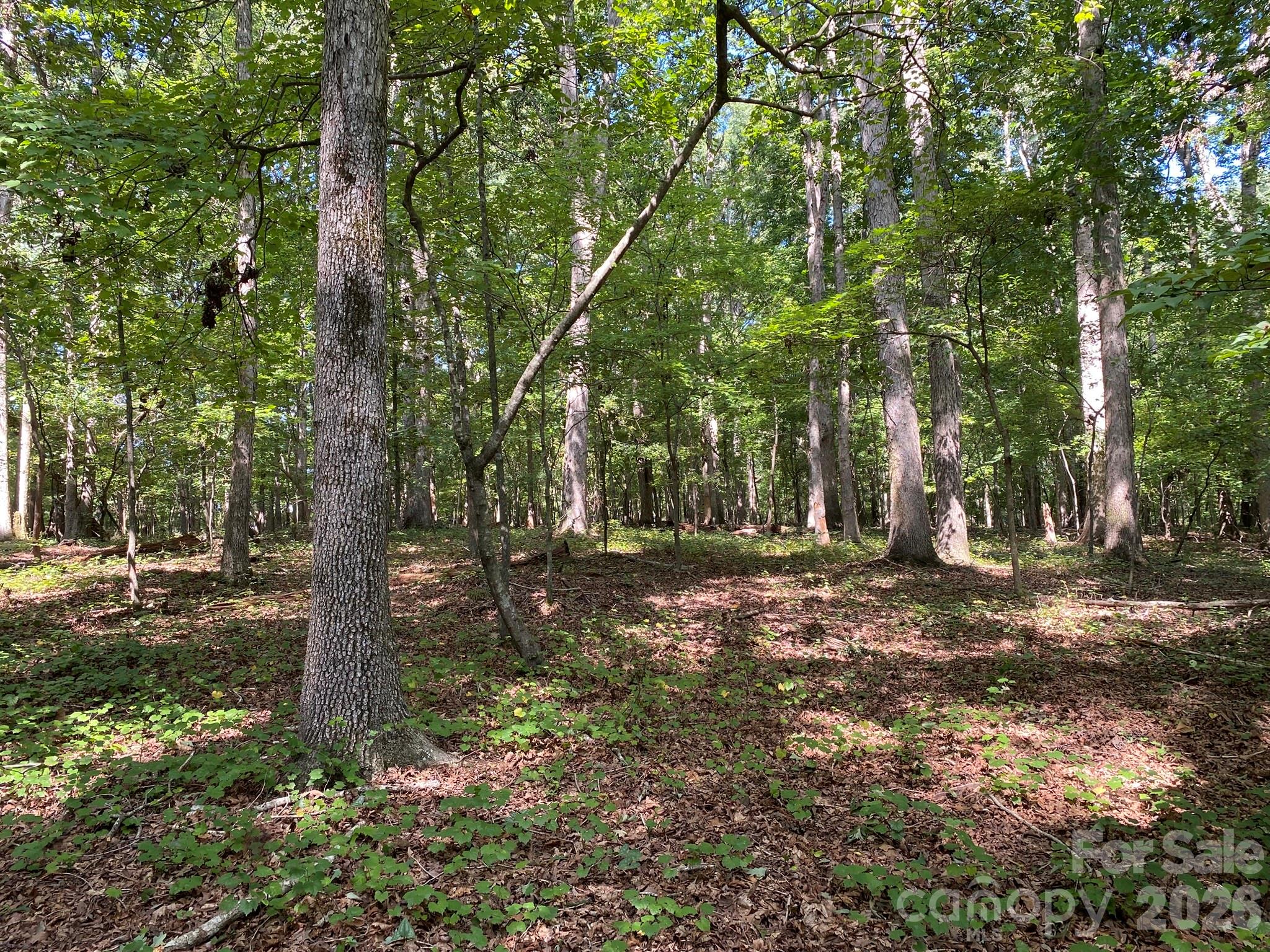 3317 Rilla Hamilton Road Property Photo 4