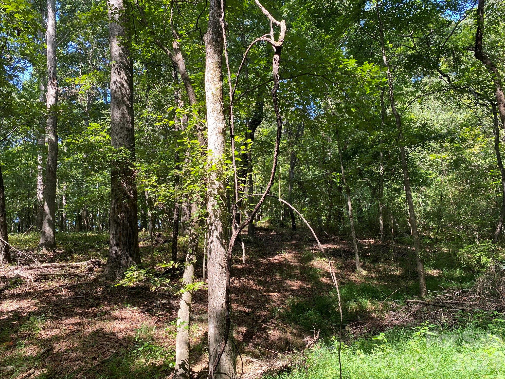3317 Rilla Hamilton Road Property Photo 5