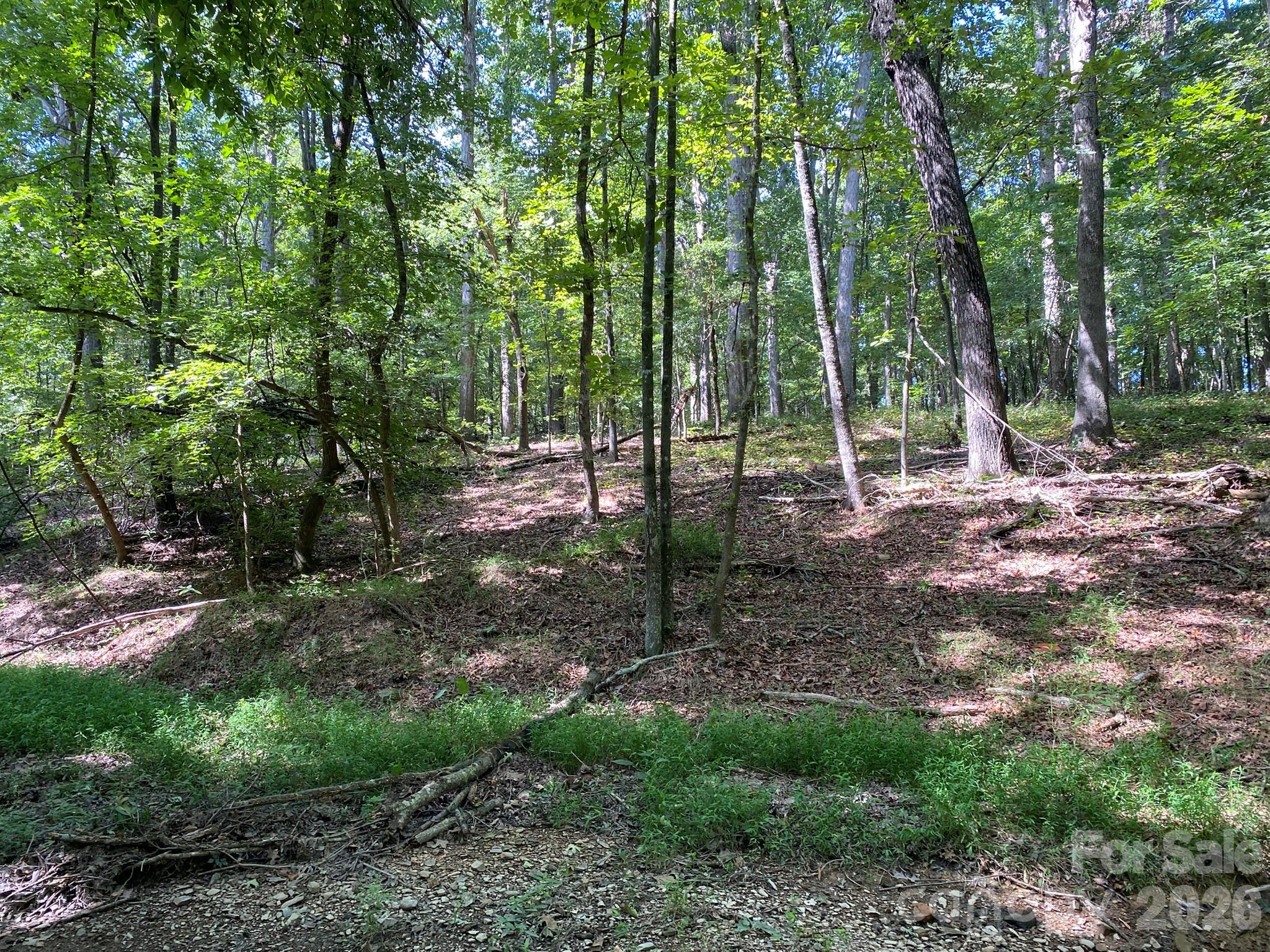 3317 Rilla Hamilton Road Property Photo 6