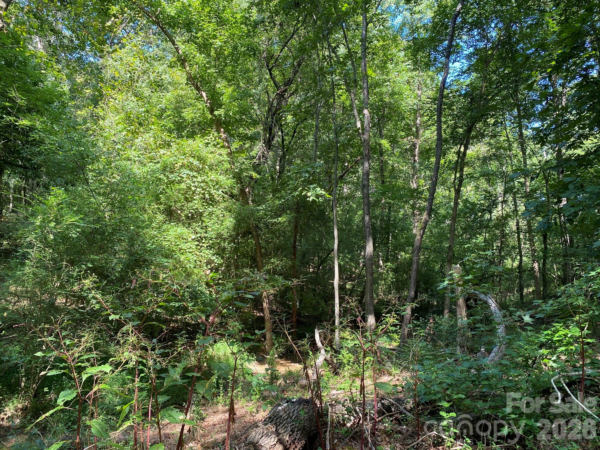 3317 Rilla Hamilton Road Property Photo 7
