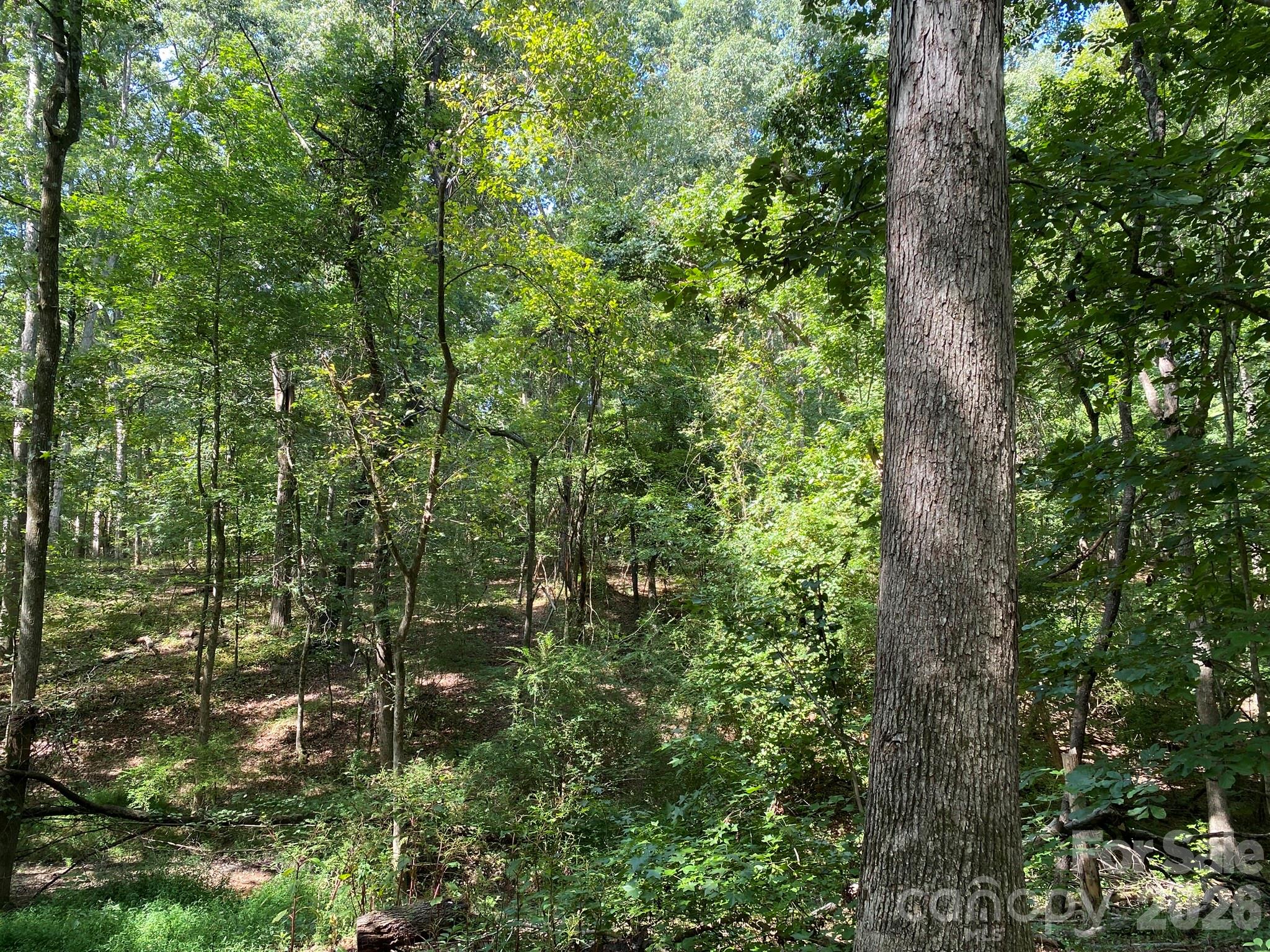 3317 Rilla Hamilton Road Property Photo 8