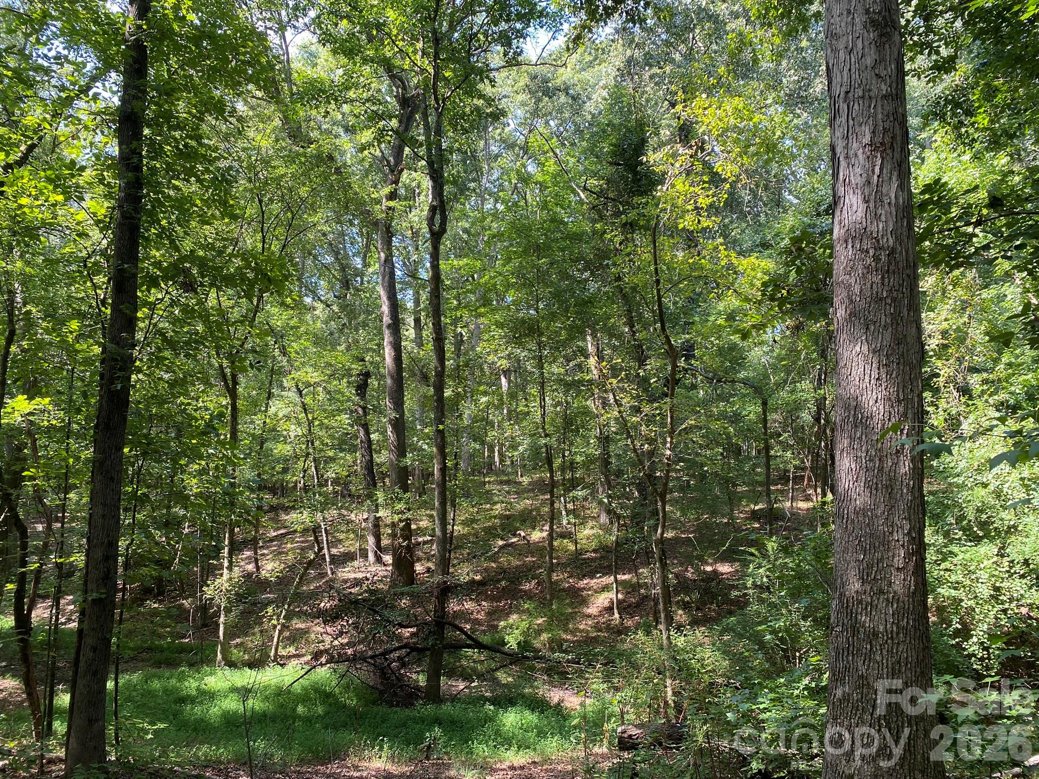 3317 Rilla Hamilton Road Property Photo 9