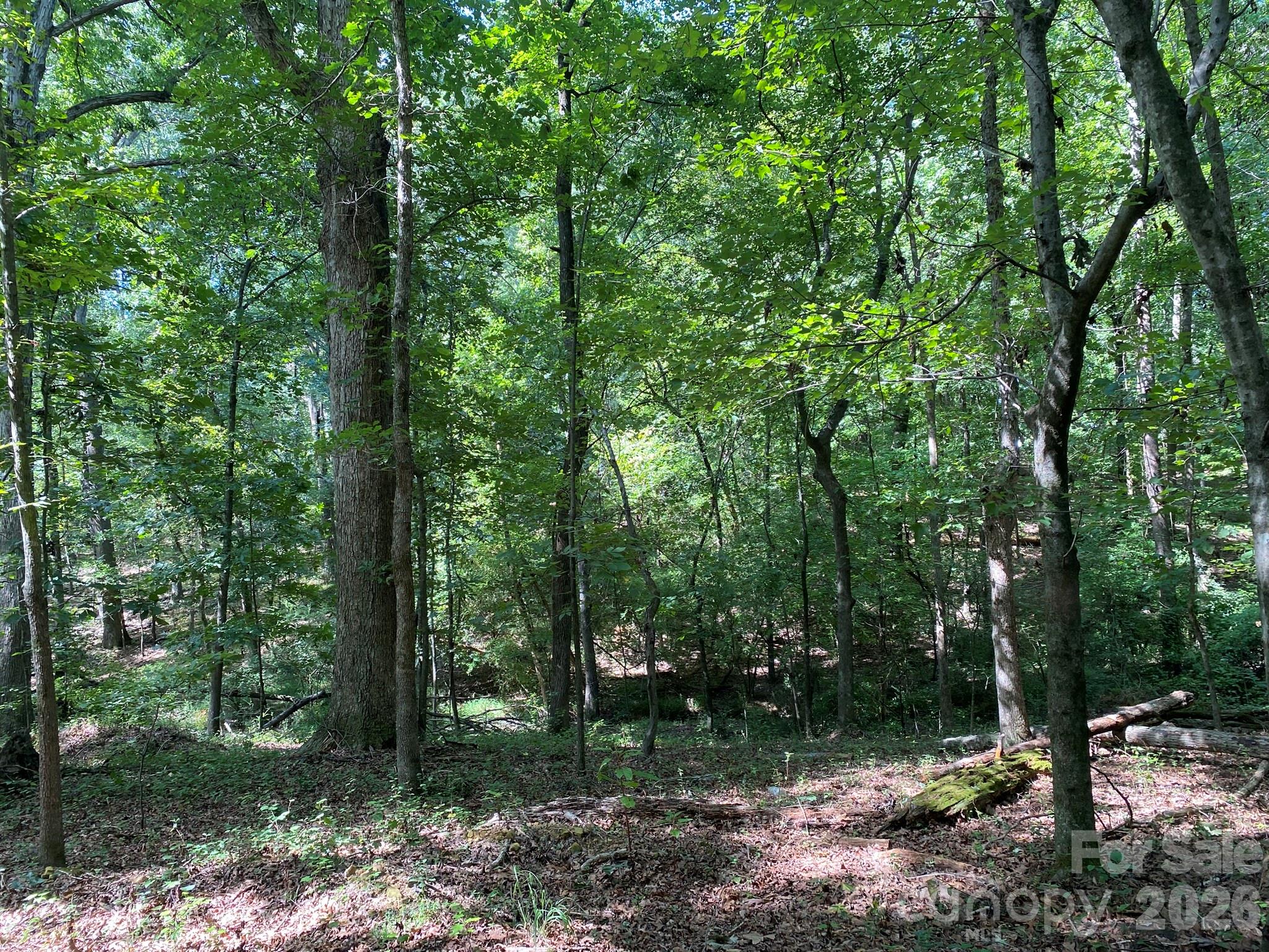 3317 Rilla Hamilton Road Property Photo 10