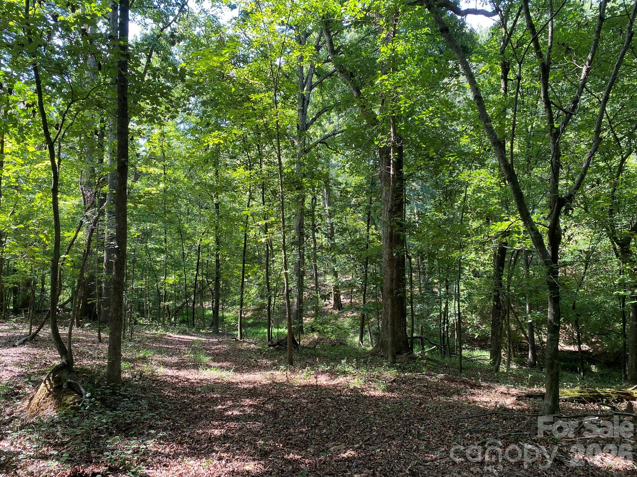 3317 Rilla Hamilton Road Property Photo 11