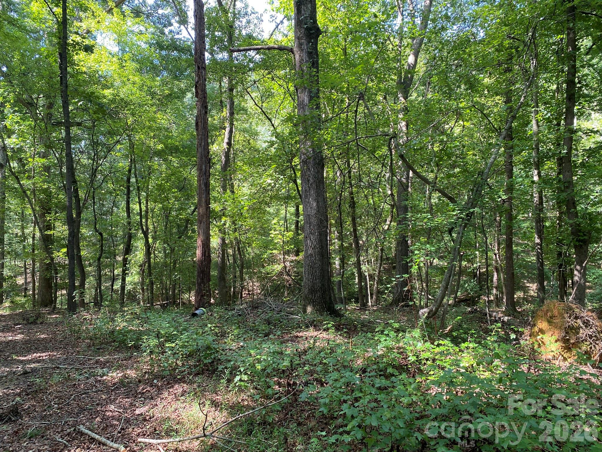 3317 Rilla Hamilton Road Property Photo 12