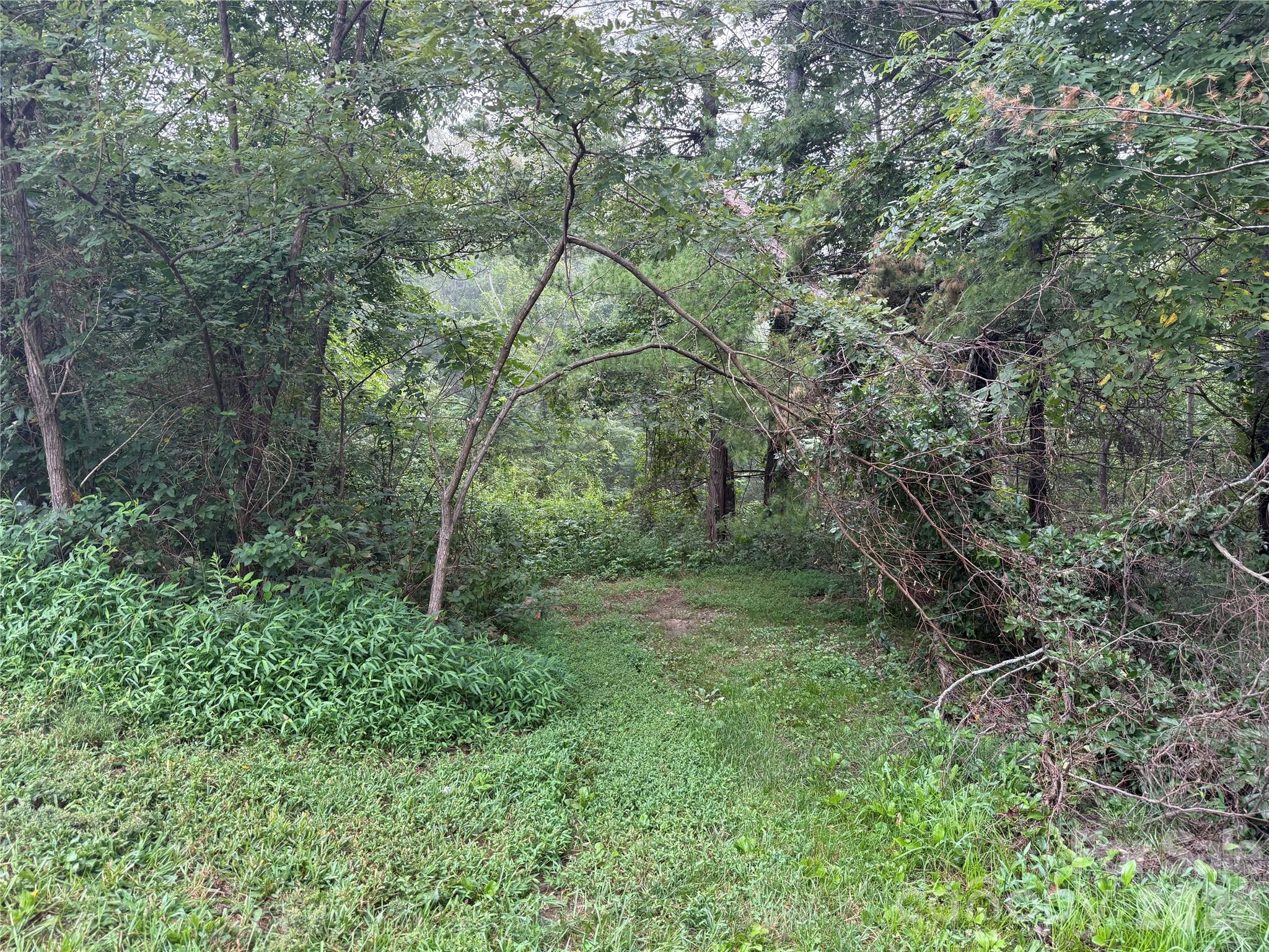 99999 Elk Mountain Ridge 12 Property Photo 14