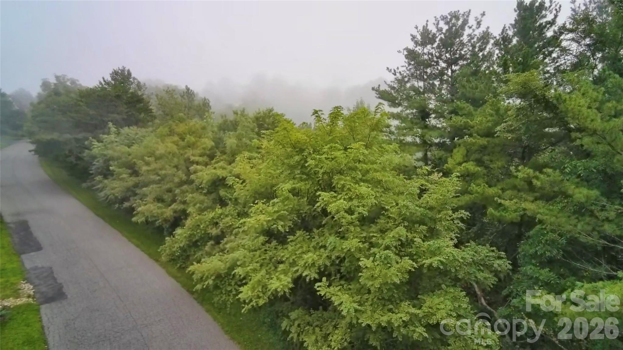 99999 Elk Mountain Ridge 12 Property Photo 16