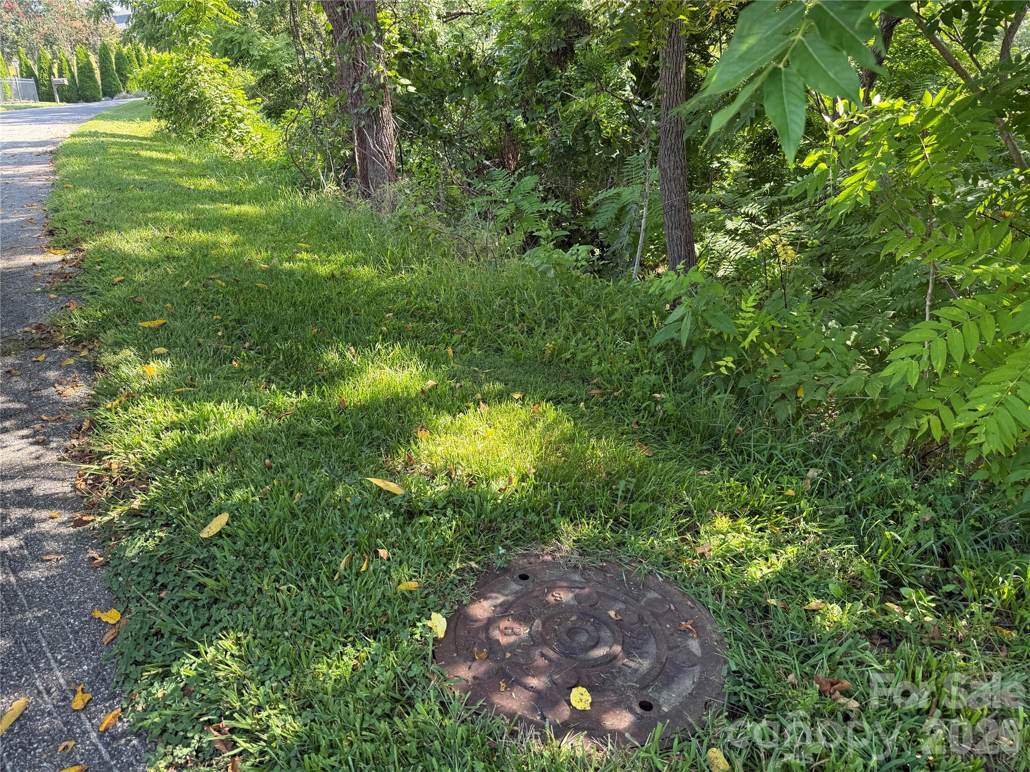 99999 Elk Mountain Ridge 13 Property Photo 4
