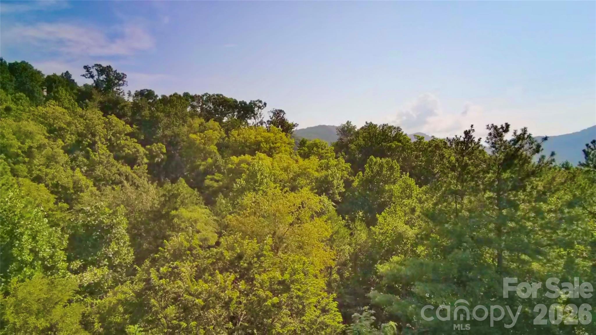 99999 Elk Mountain Ridge 13 Property Photo 8