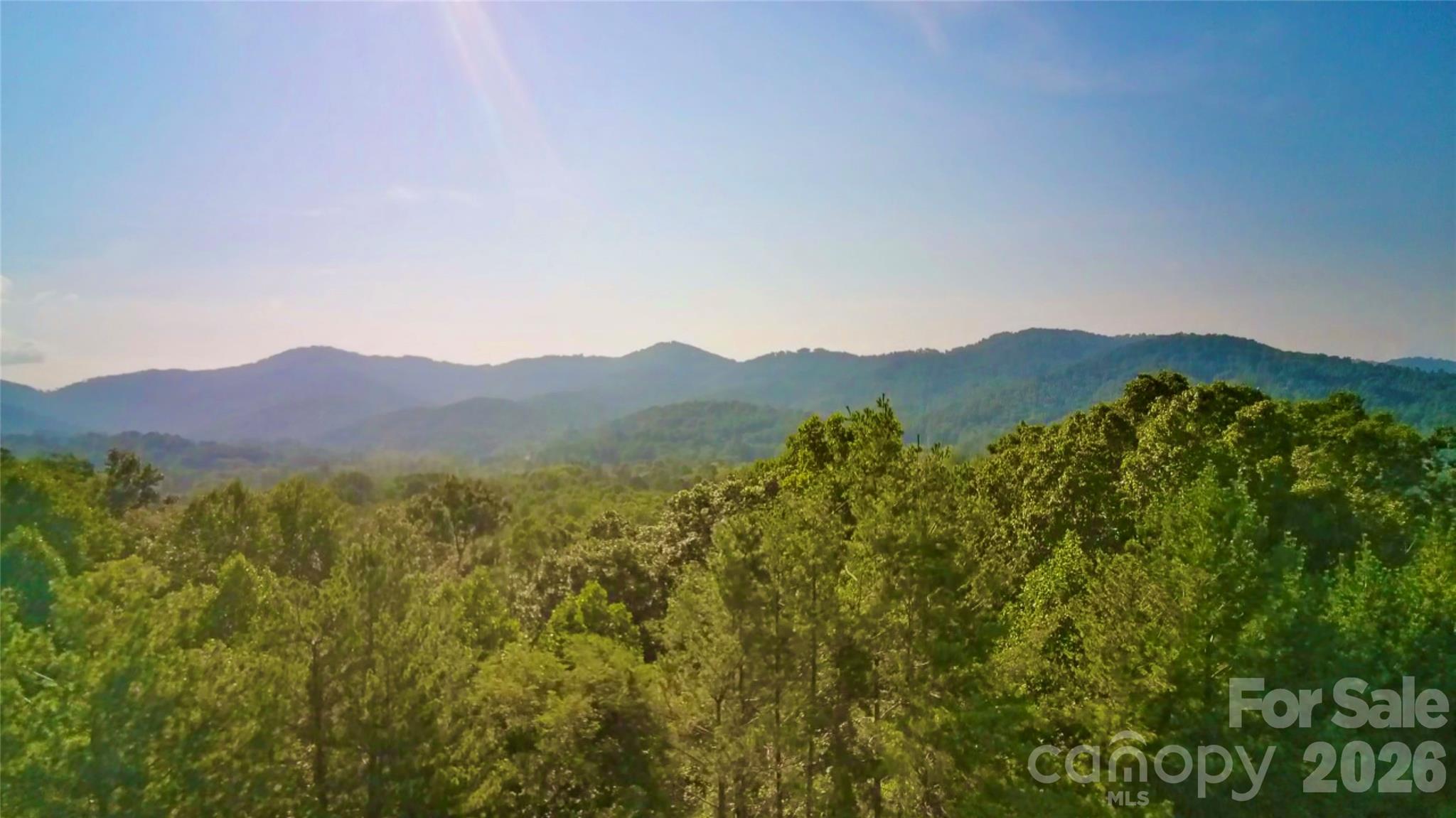 99999 Elk Mountain Ridge 13 Property Photo 10