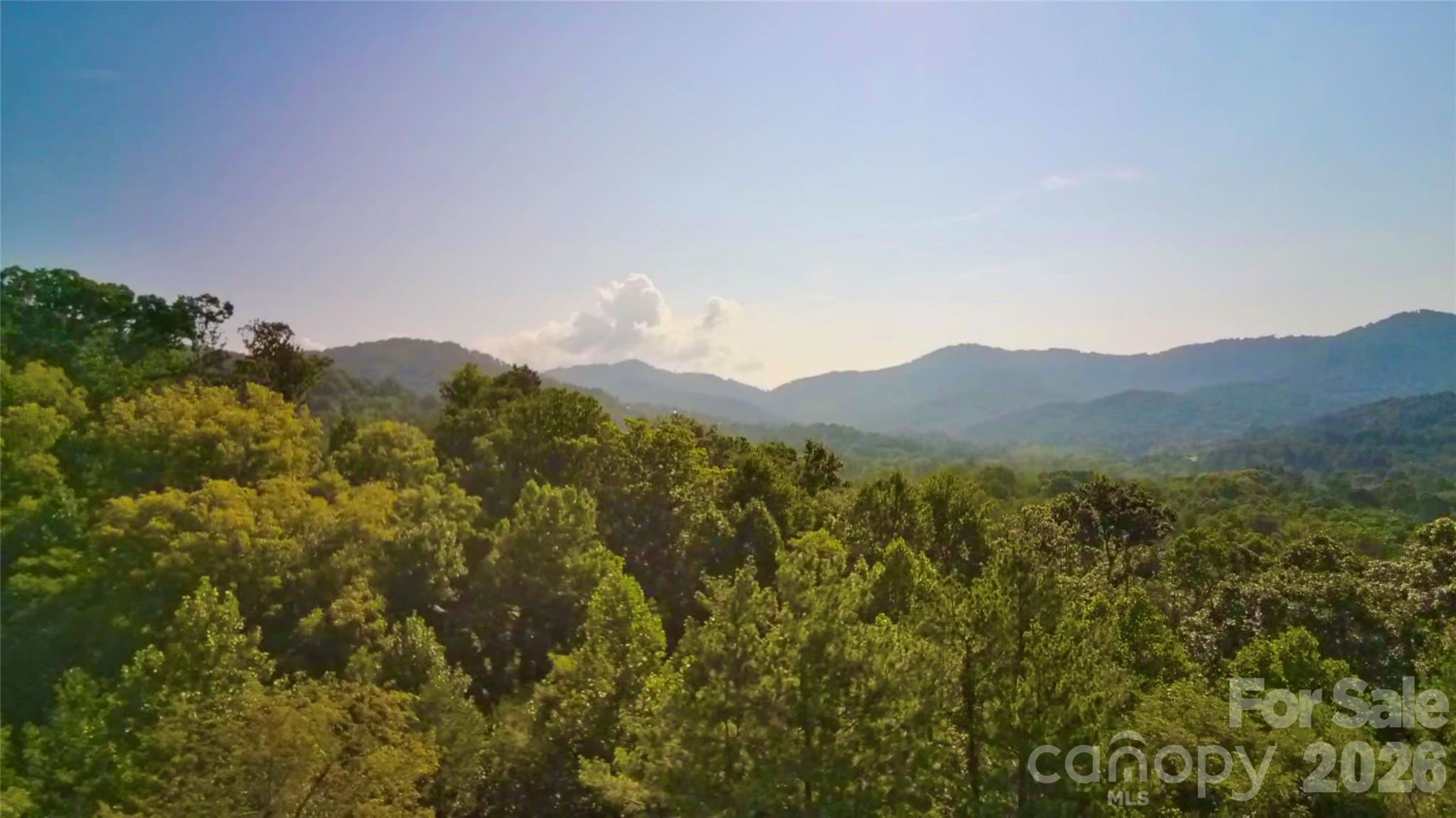 99999 Elk Mountain Ridge 13 Property Photo 11