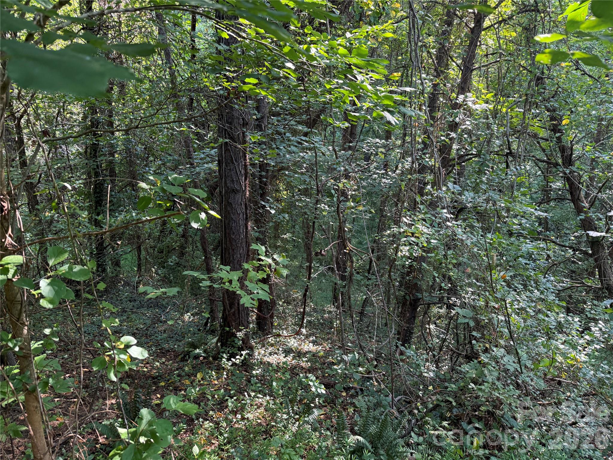 99999 Elk Mountain Ridge 13 Property Photo 14